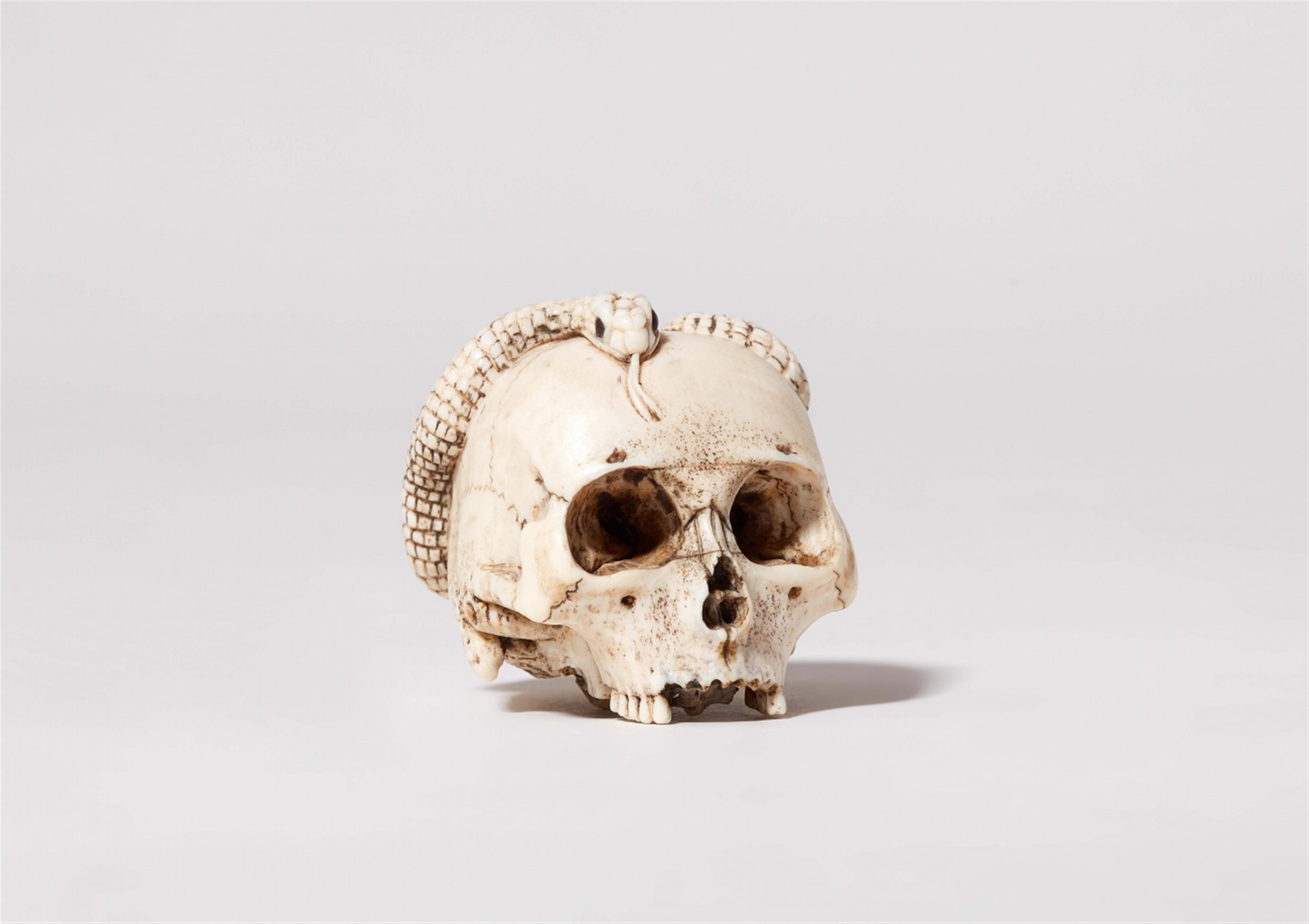 A carved ivory skull with a snake - image-1