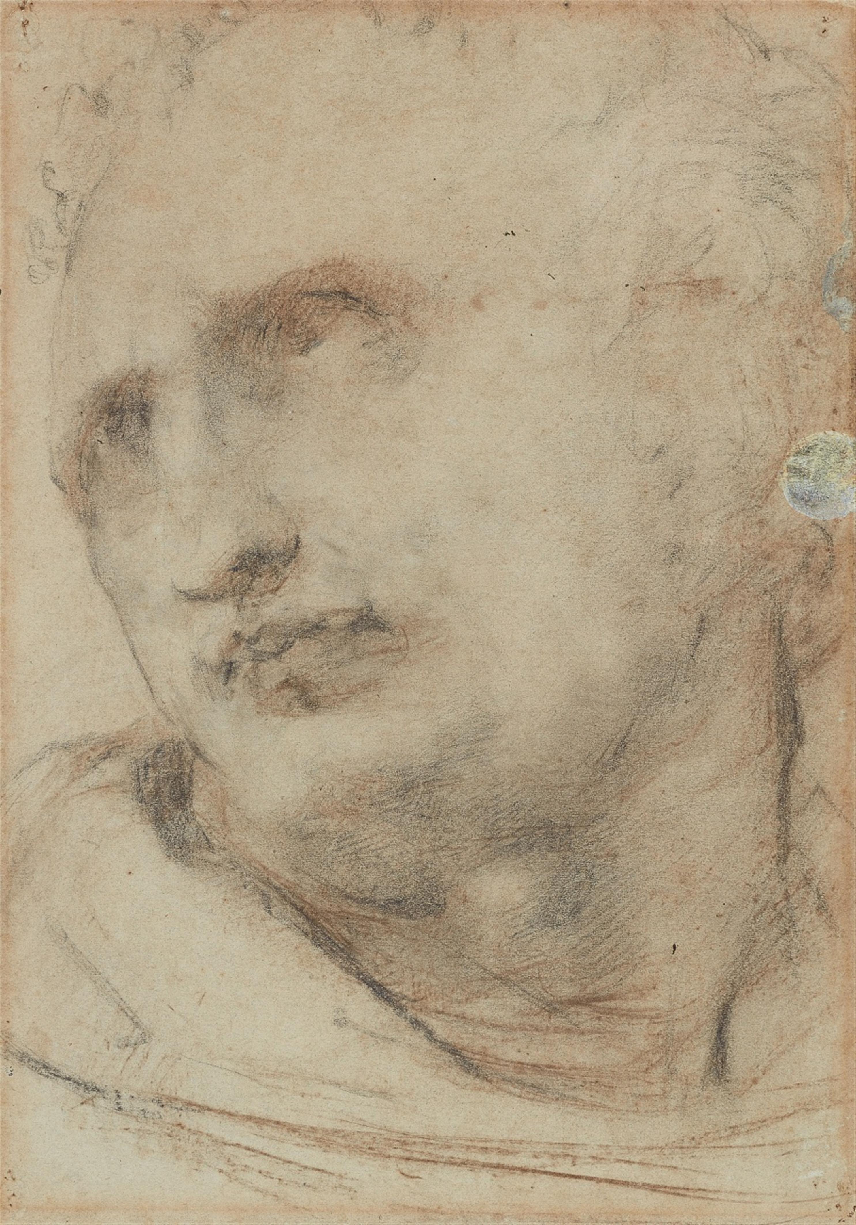 Florentine School 16th century - Study of a Man's Head - image-1