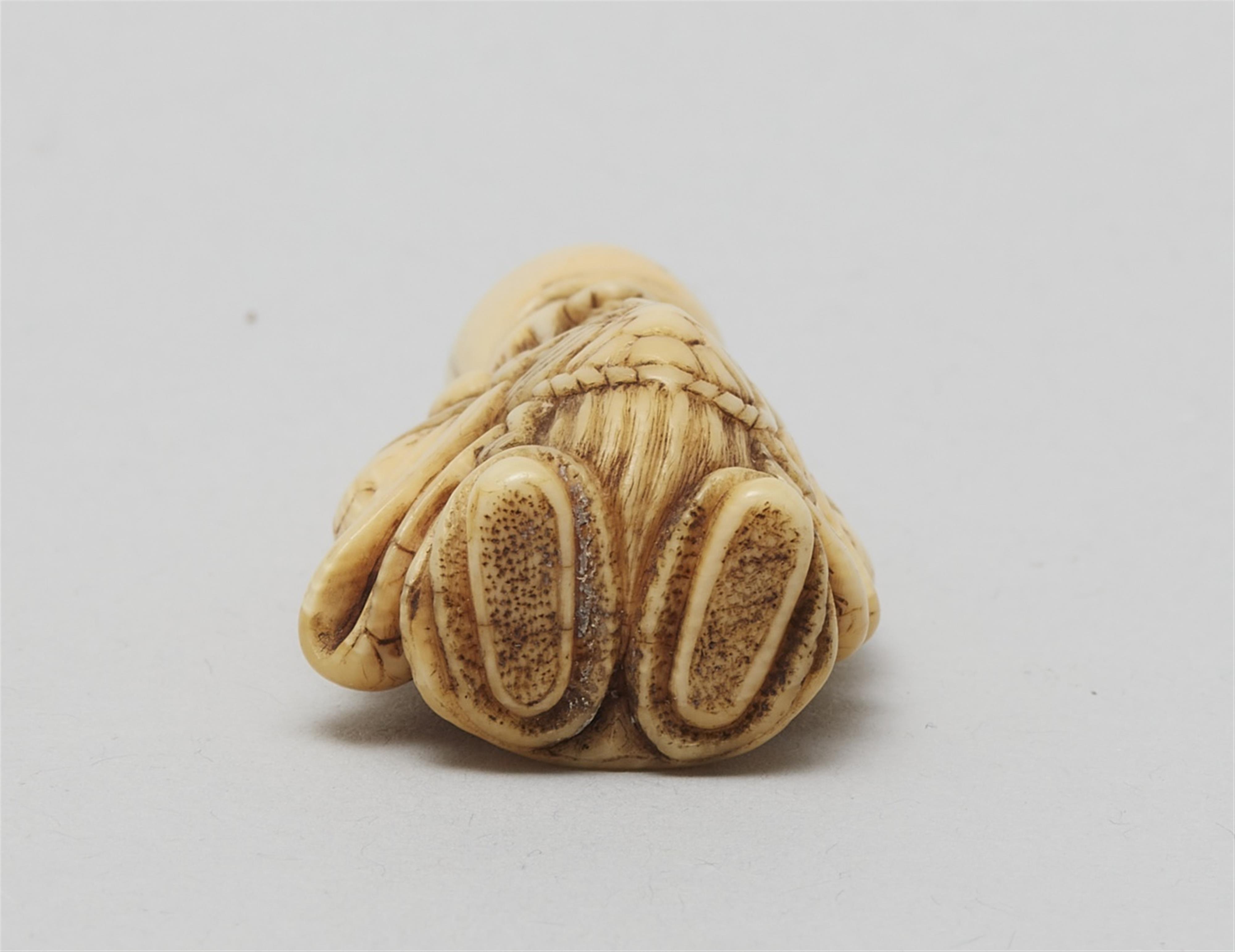 An ivory netsuke of a friendly Fukurokuju. Early 19th century - image-5