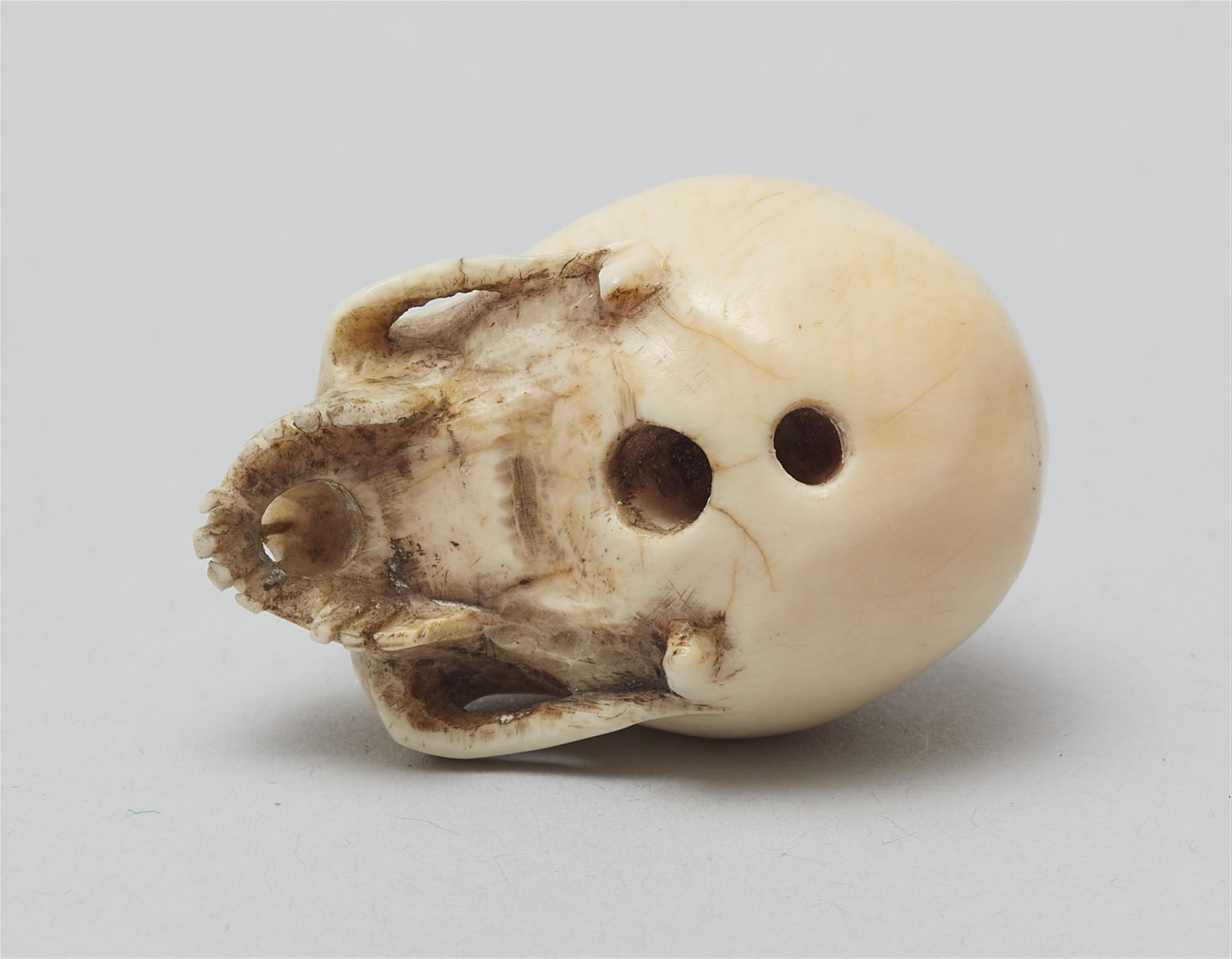 An ivory netsuke of a realistic model of a skull. Late 19th century - image-5