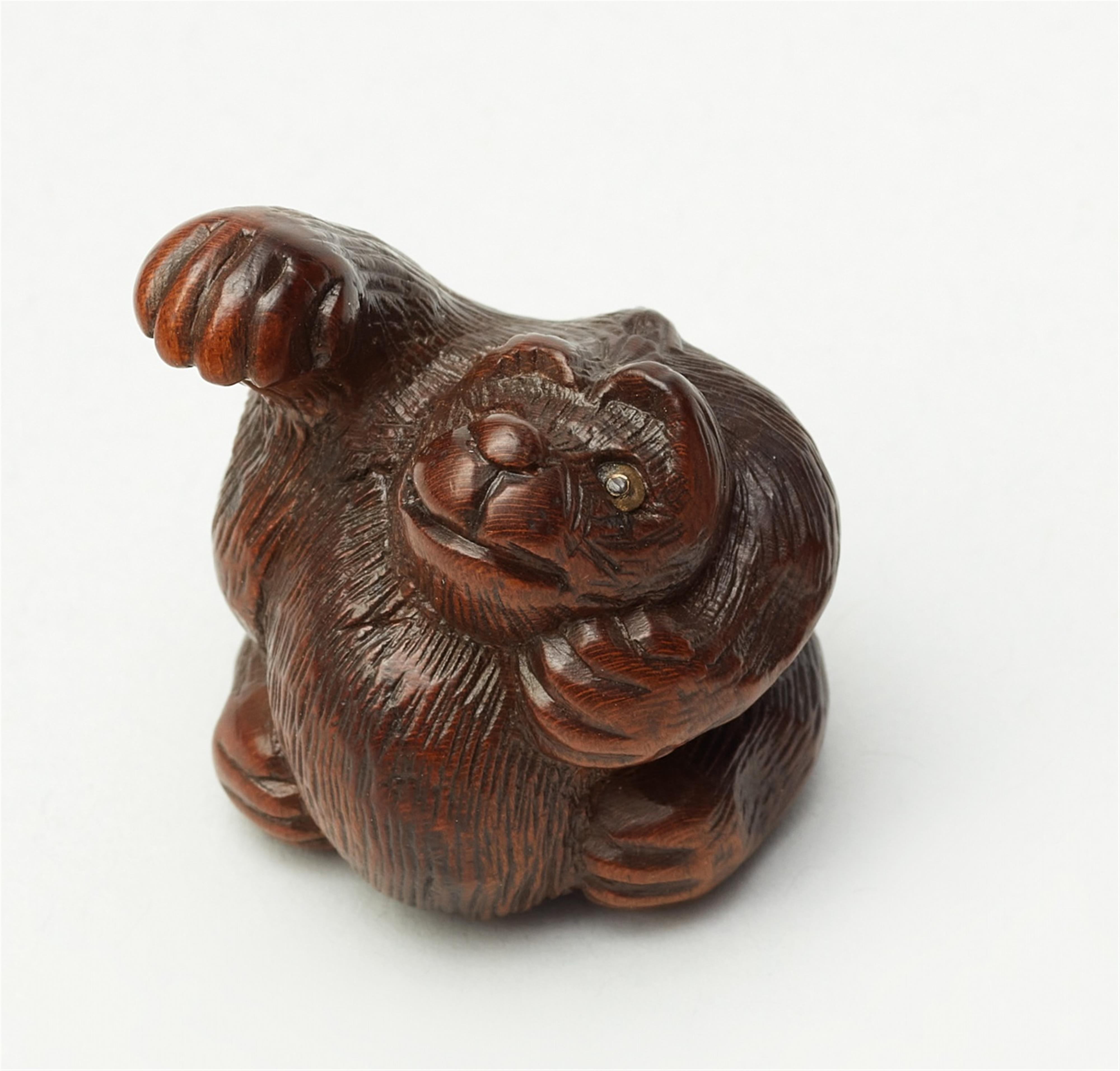 A wood netsuke of tanuki hara tsutsumi. Early 19th century - image-1