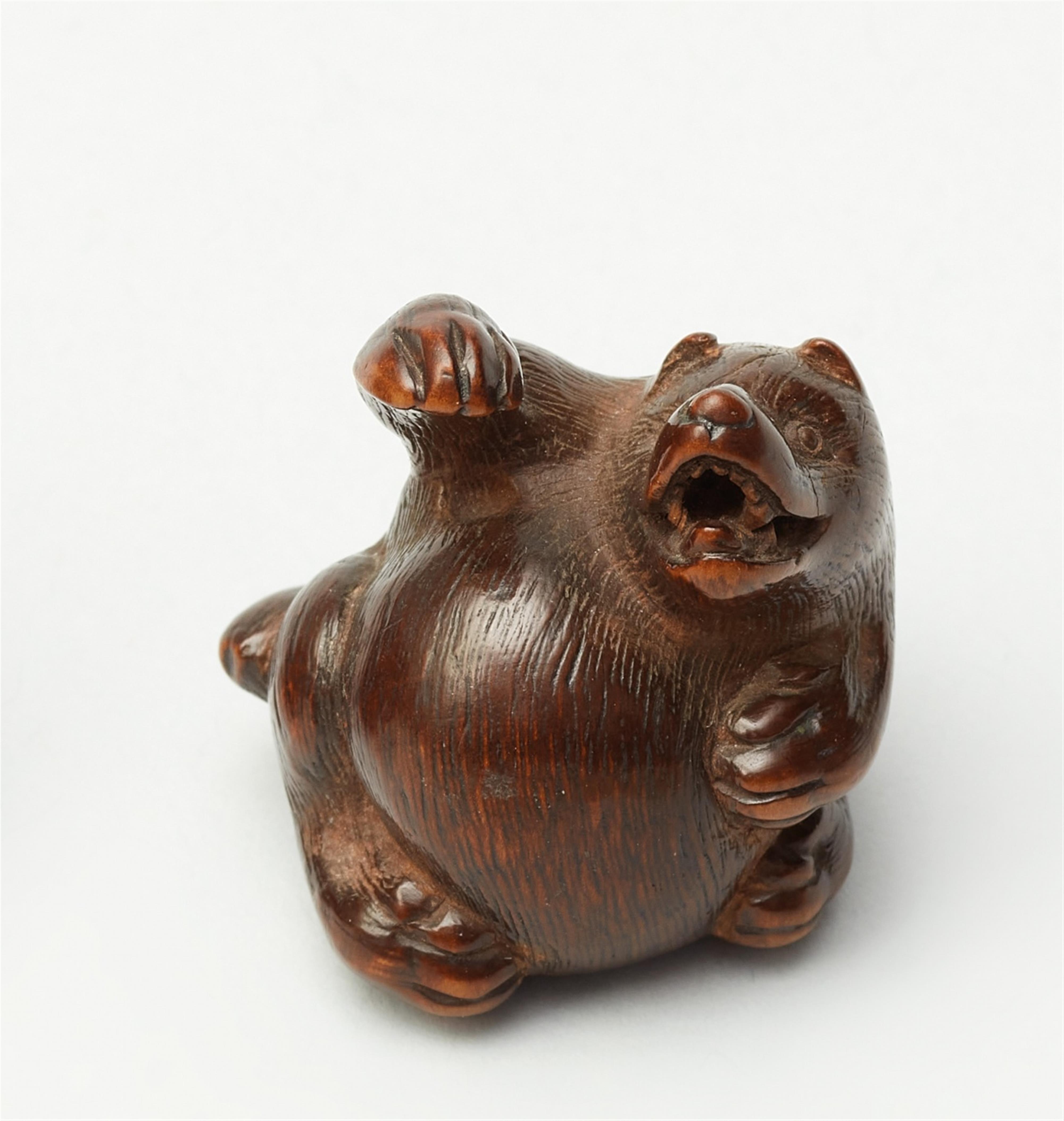 A Tsu school boxwood netsuke of tanuki hara tsutsumi. Early 19th century - image-1