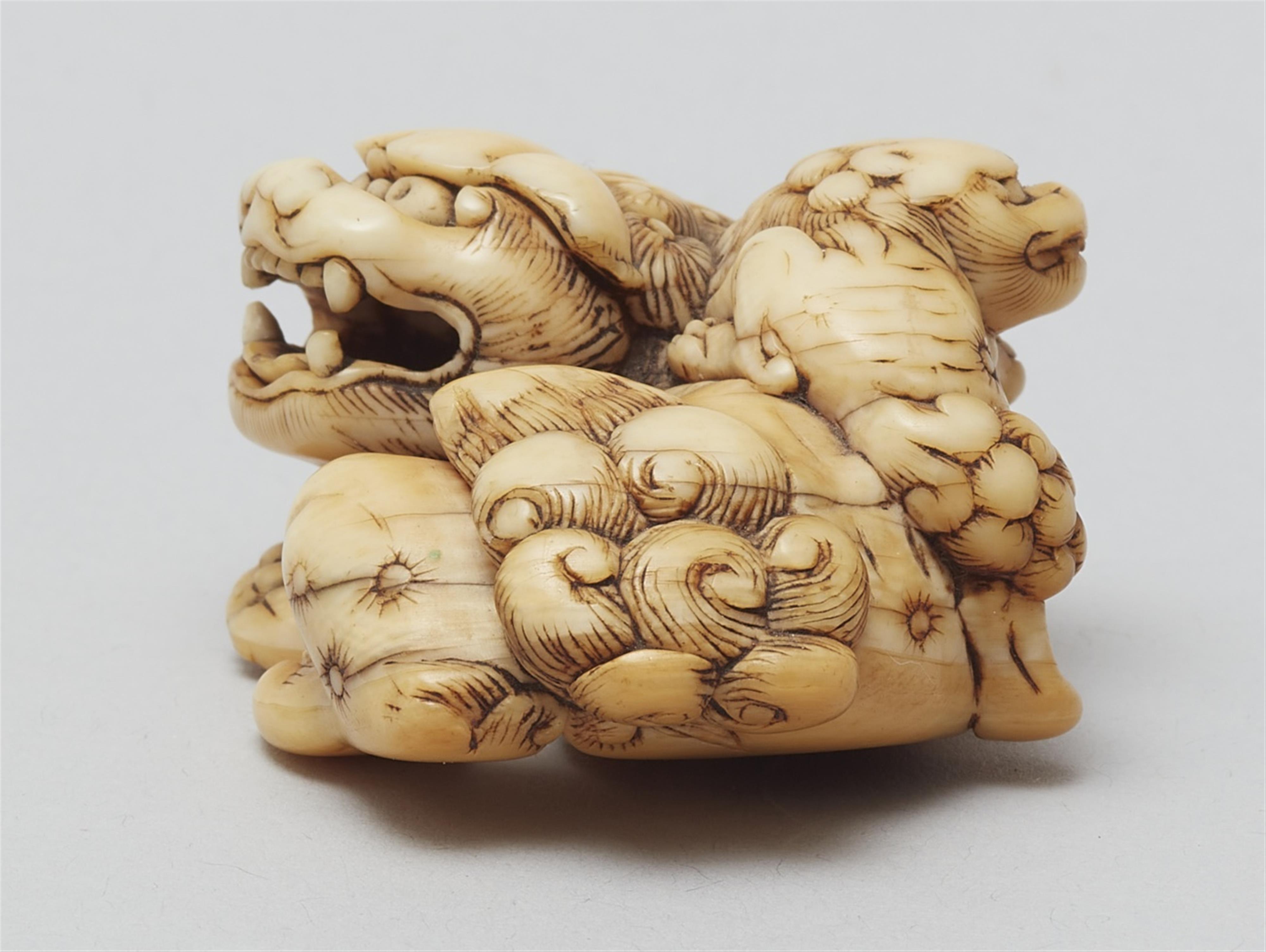 An ivory netsuke of a shishi with cub. 18th century - image-2