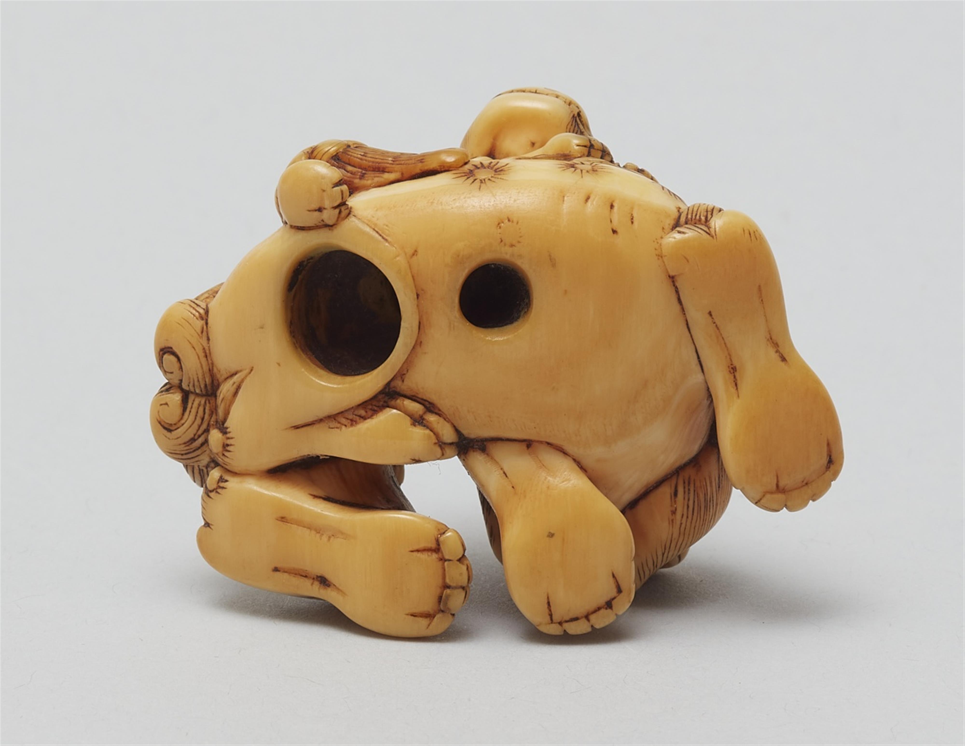 An ivory netsuke of a shishi with cub. 18th century - image-5