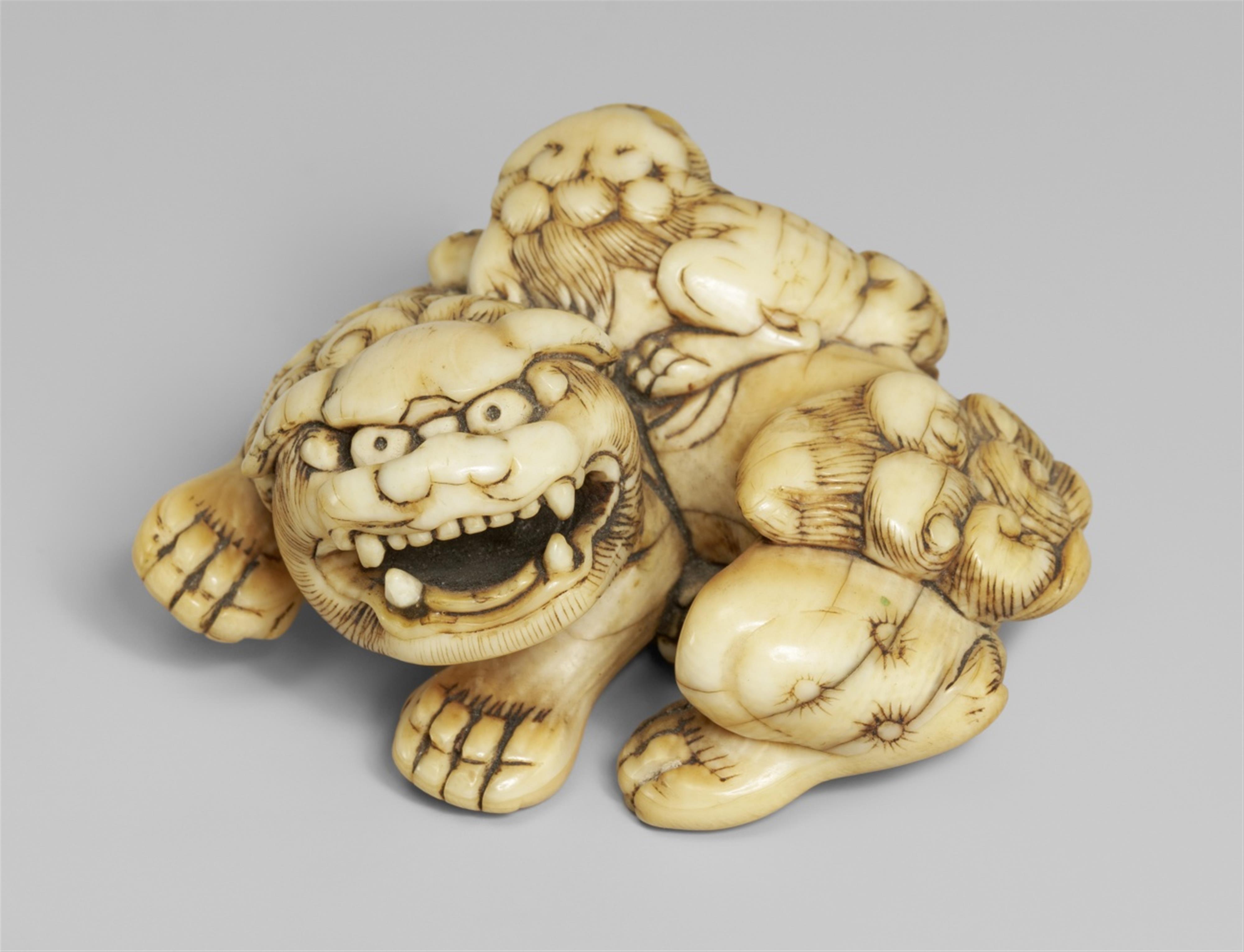 An ivory netsuke of a shishi with cub. 18th century - image-1