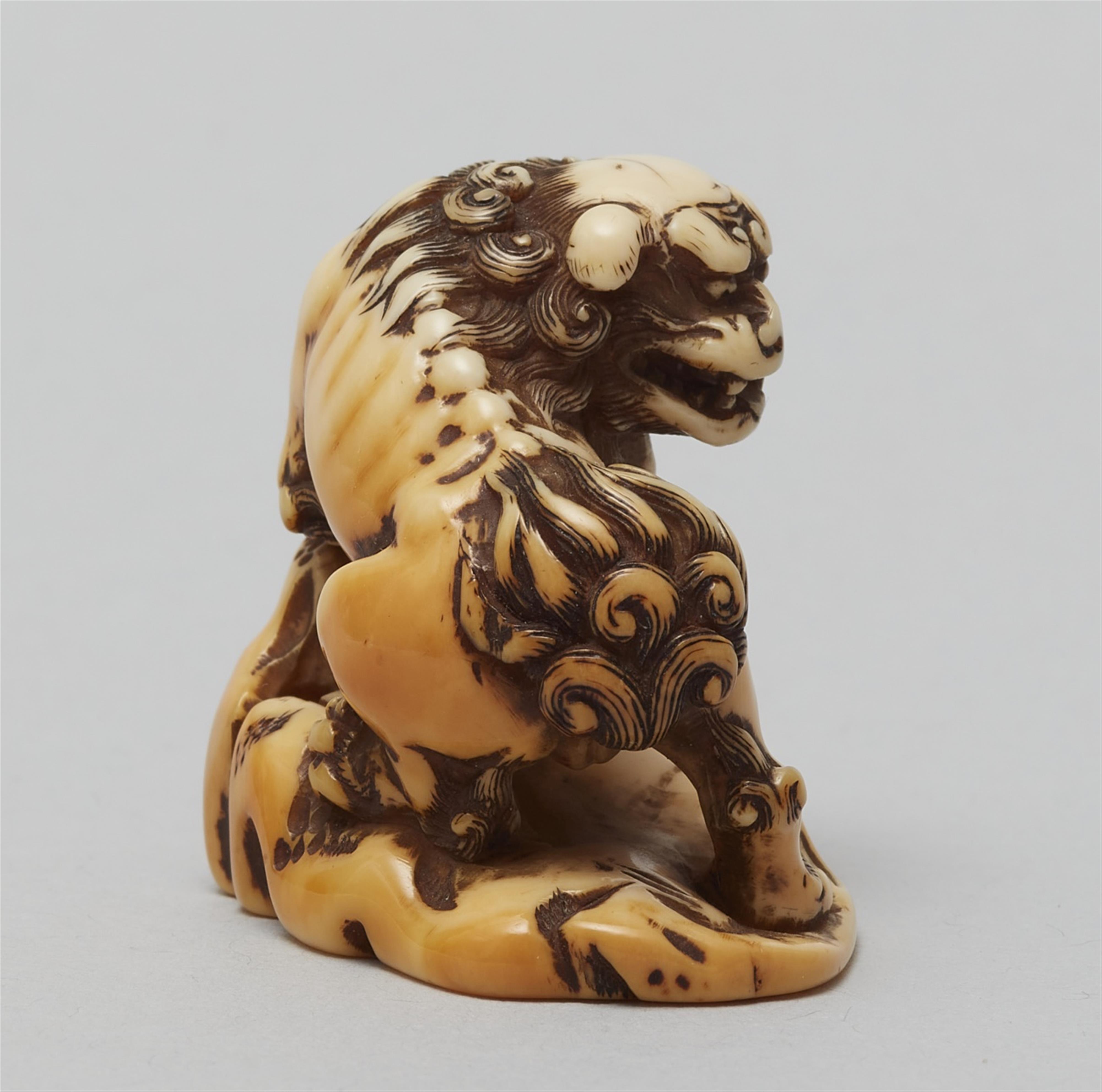 An ivory netsuke of a shishi by a rock. Late 18th century - image-2