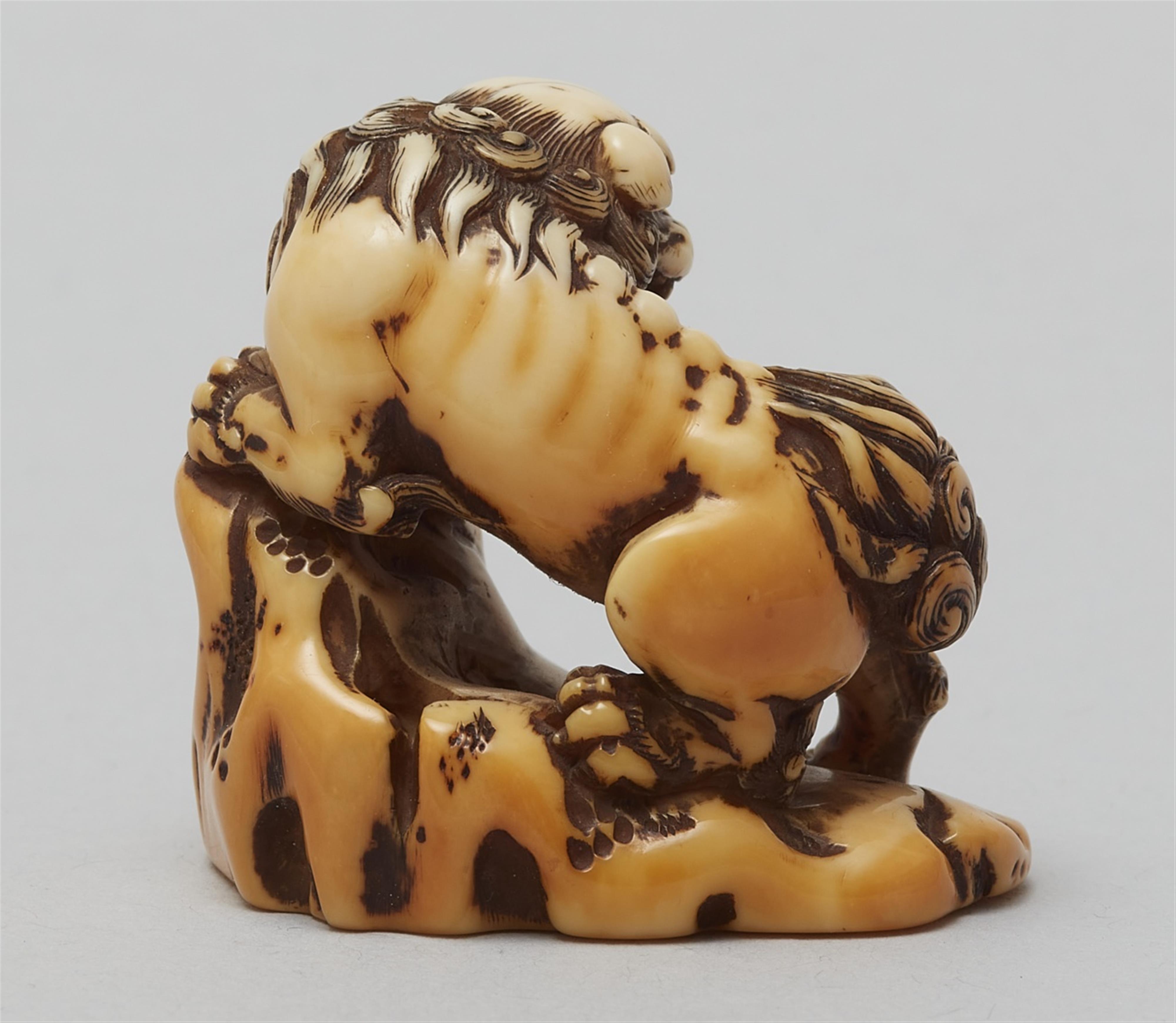 An ivory netsuke of a shishi by a rock. Late 18th century - image-3