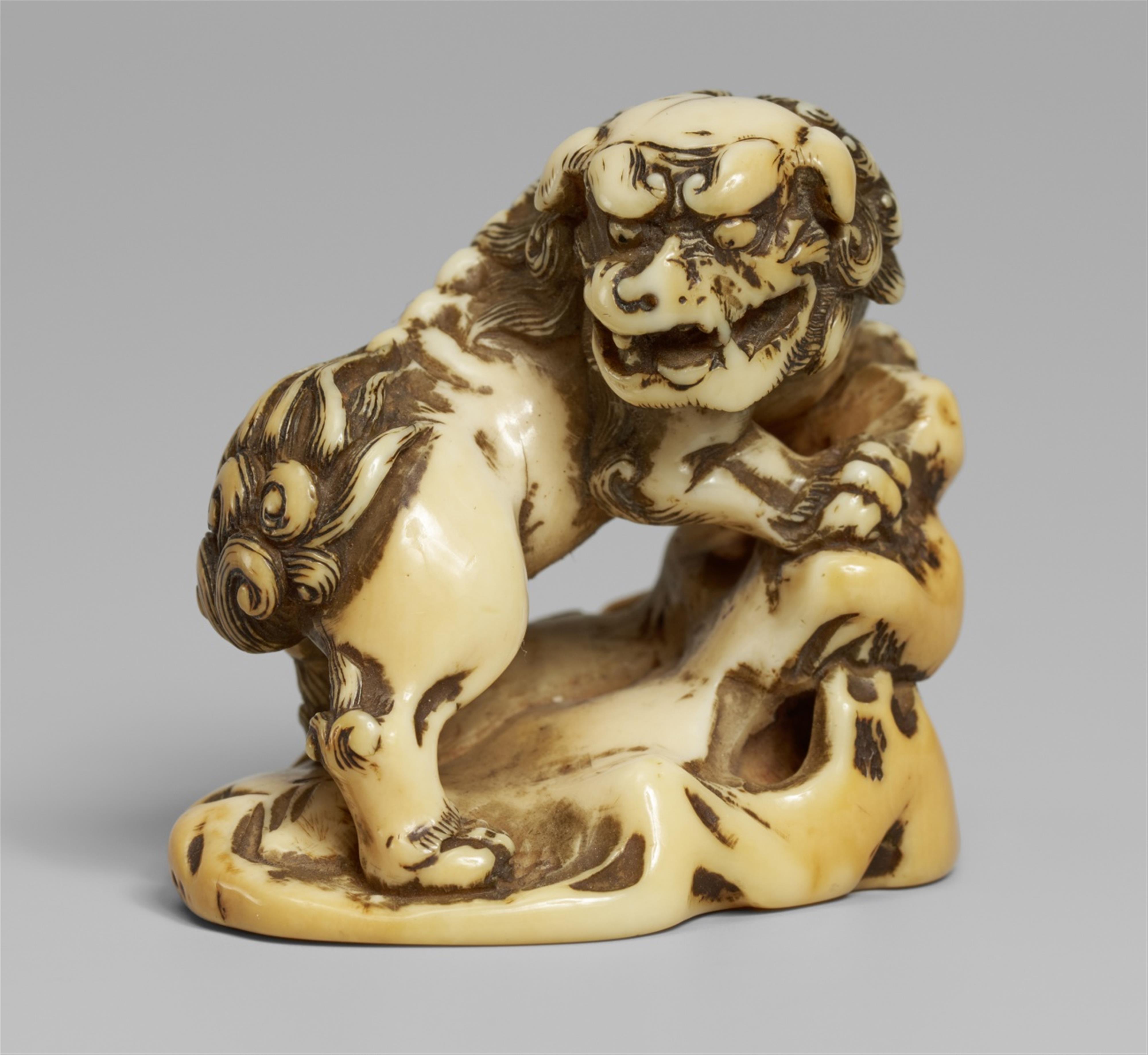 An ivory netsuke of a shishi by a rock. Late 18th century - image-1