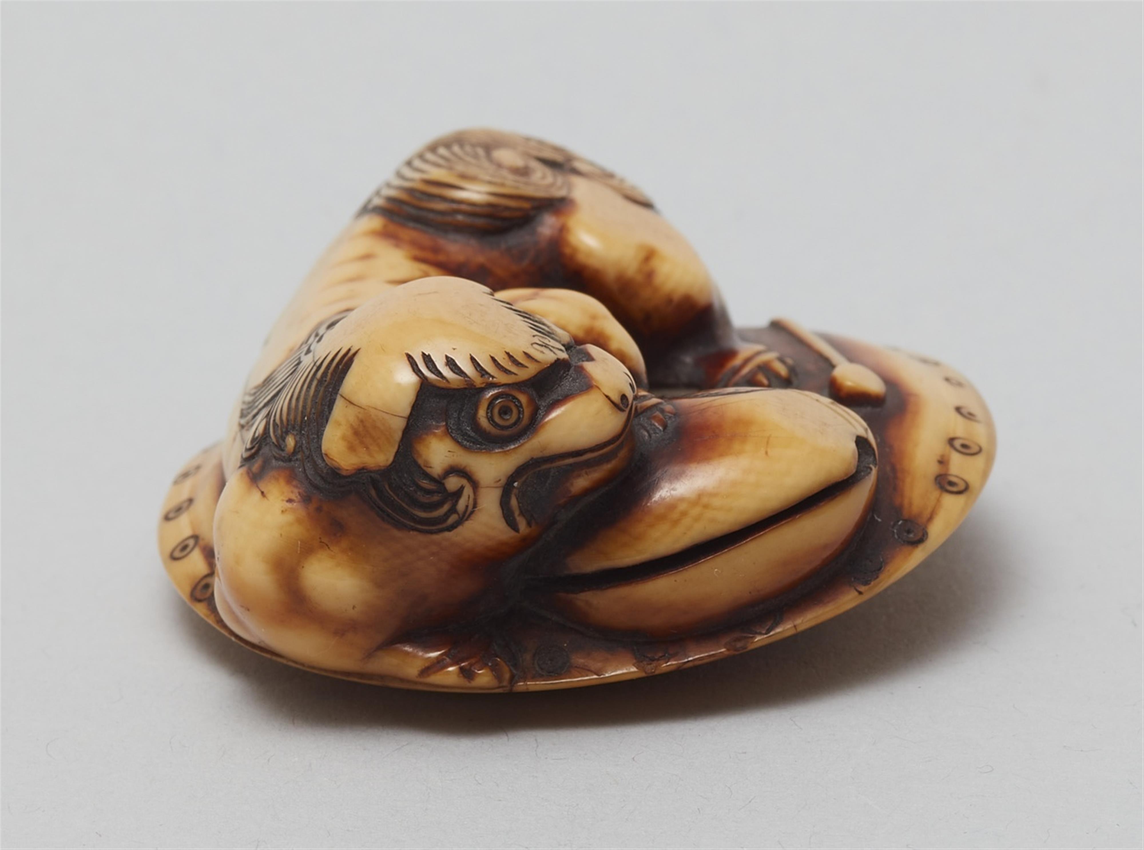 A stained ivory netsuke of a shishi lying on a cushion. Early 19th century - image-3