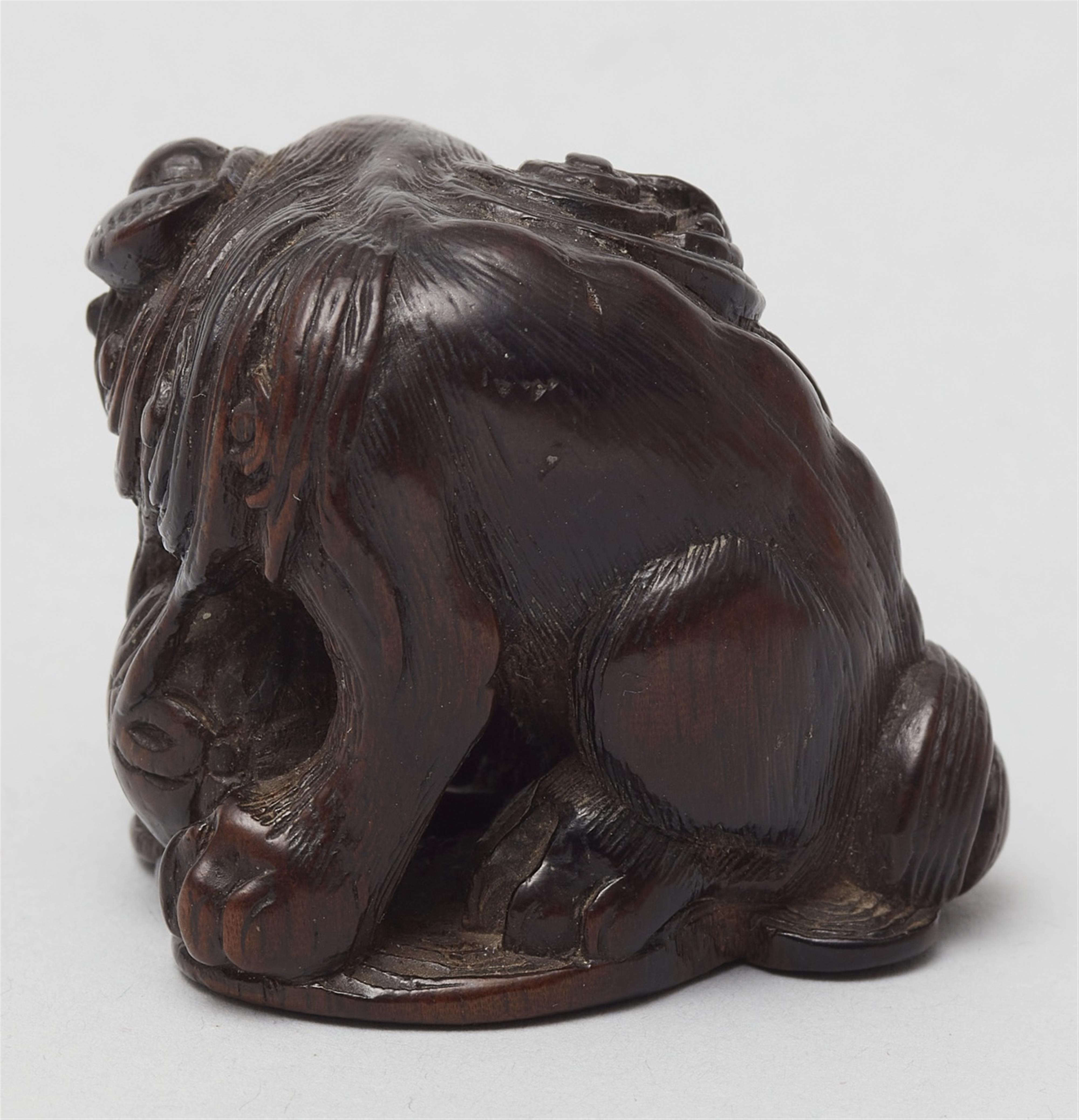 A large dark wood netsuke of a shishi. 19th century - image-3