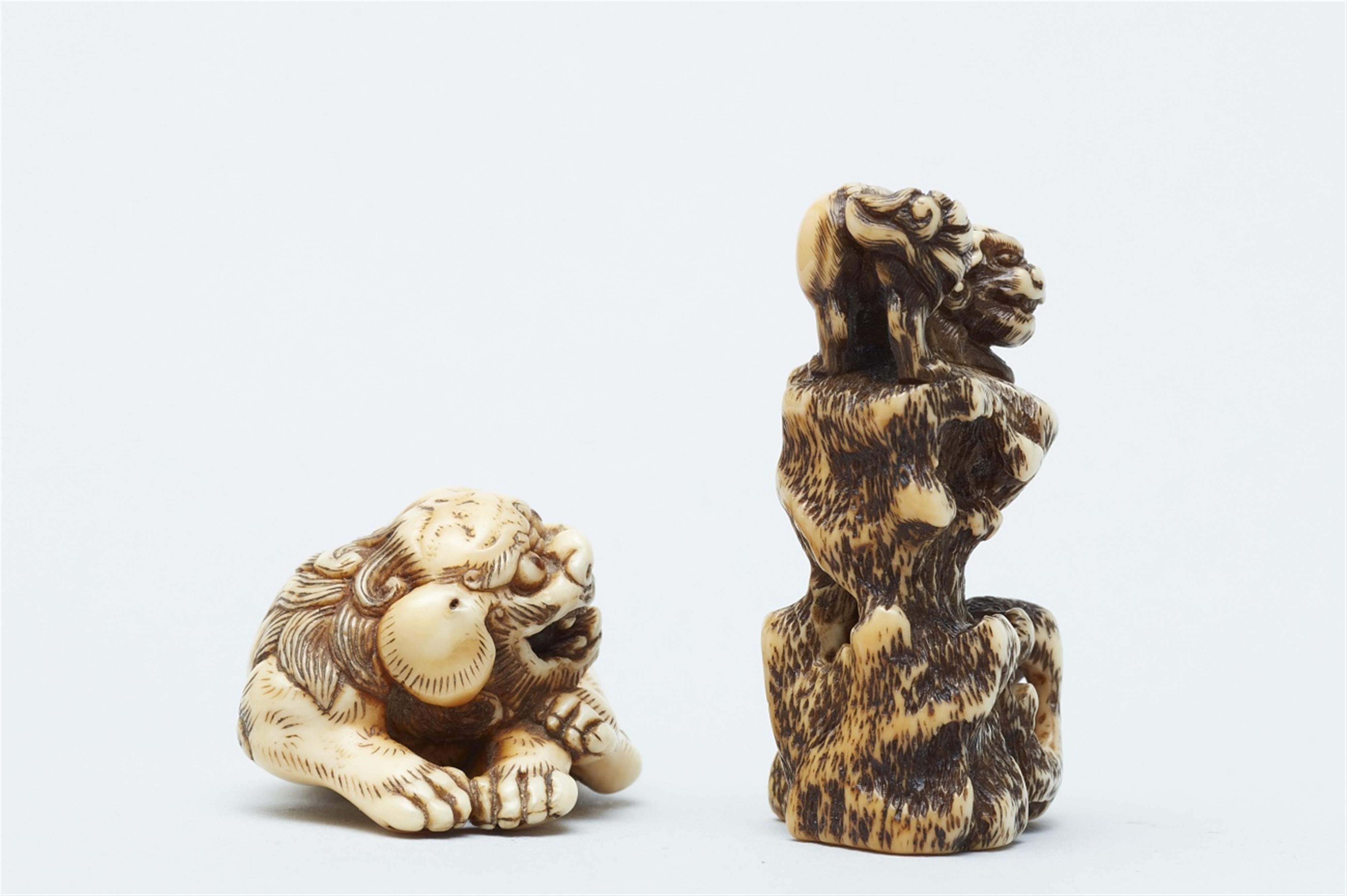 Two ivory netsuke of shishi. 19th century - image-3