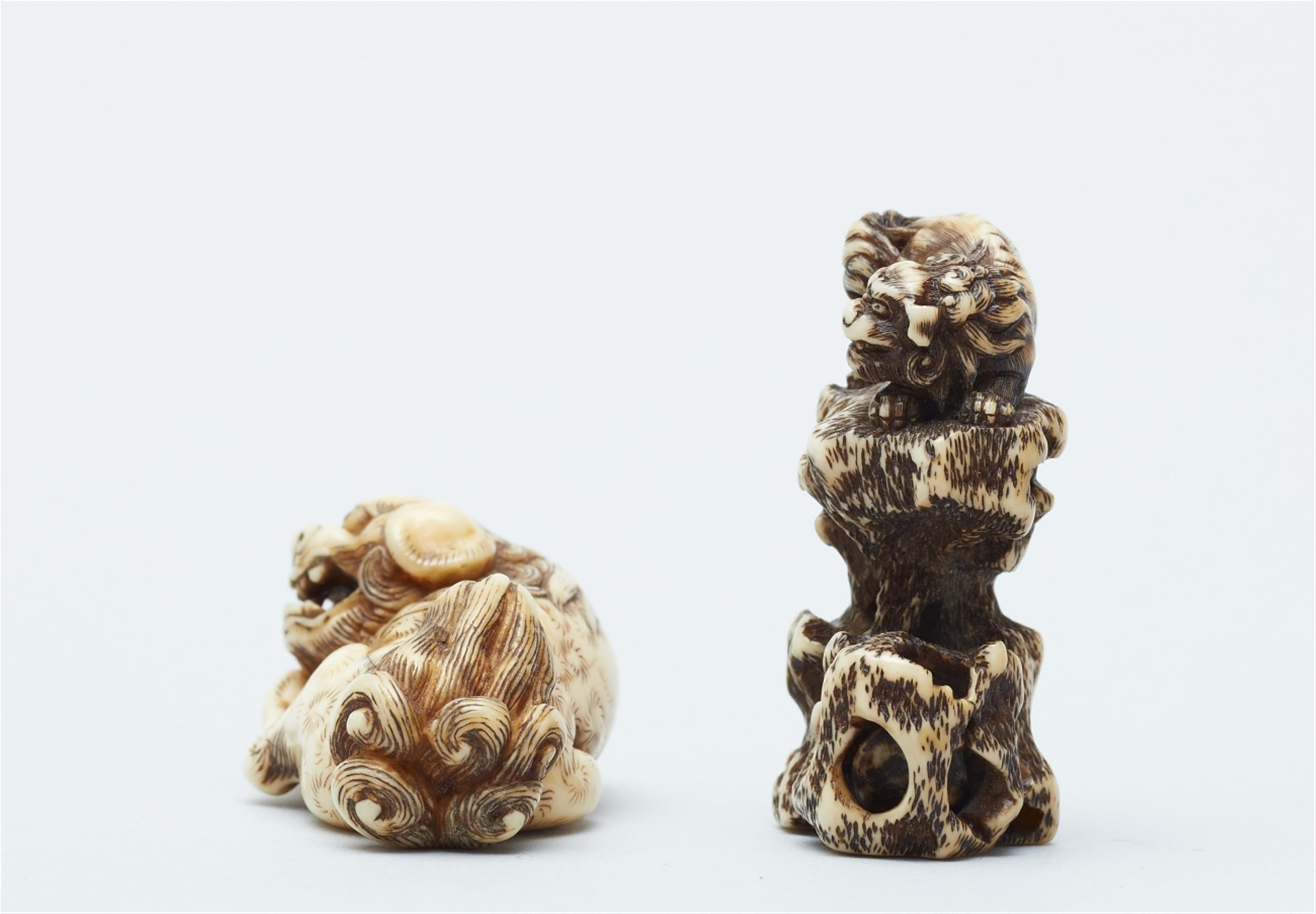 Two ivory netsuke of shishi. 19th century - image-4