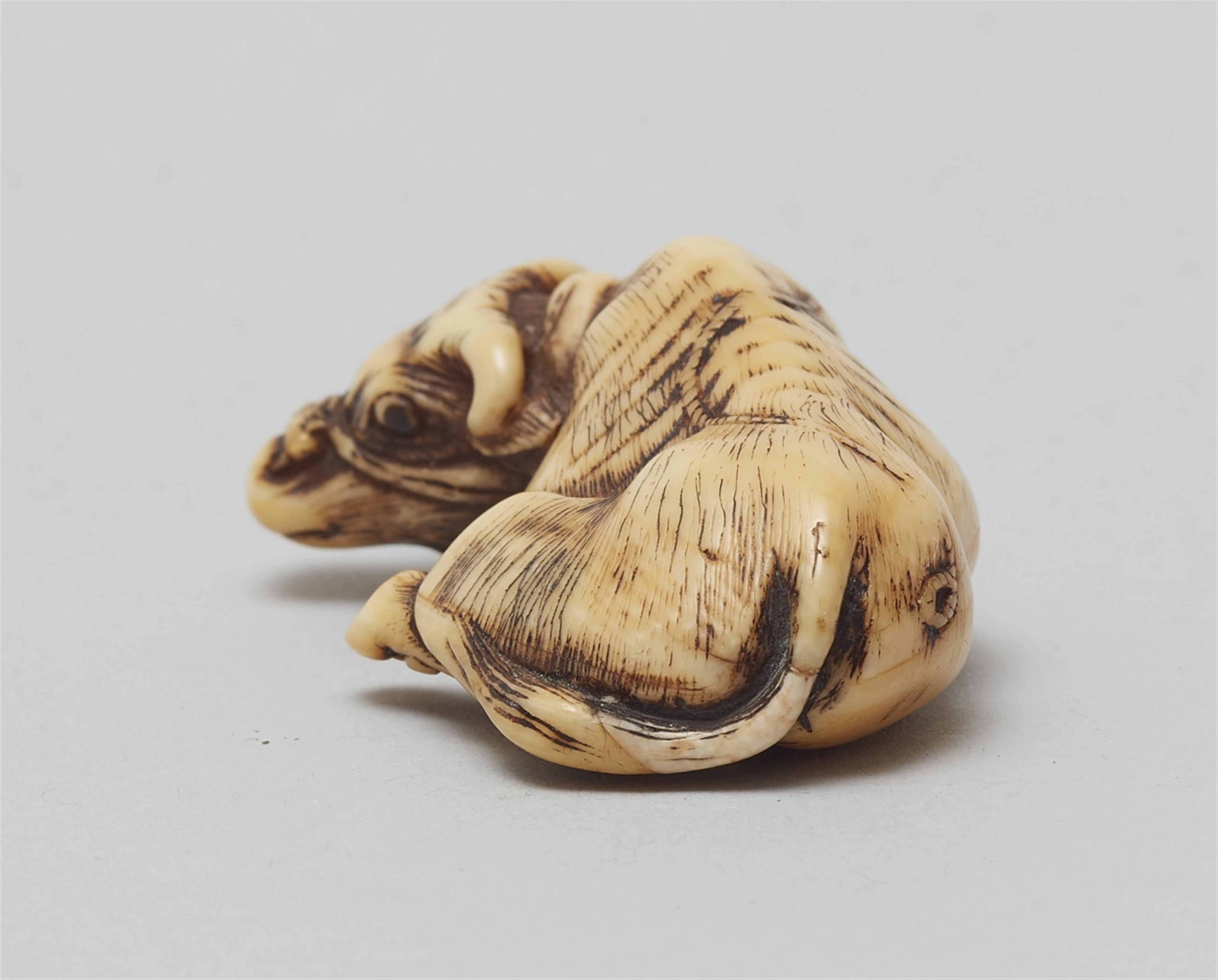 An ivory netsuke of a recumbent ox. Late 18th century - image-4