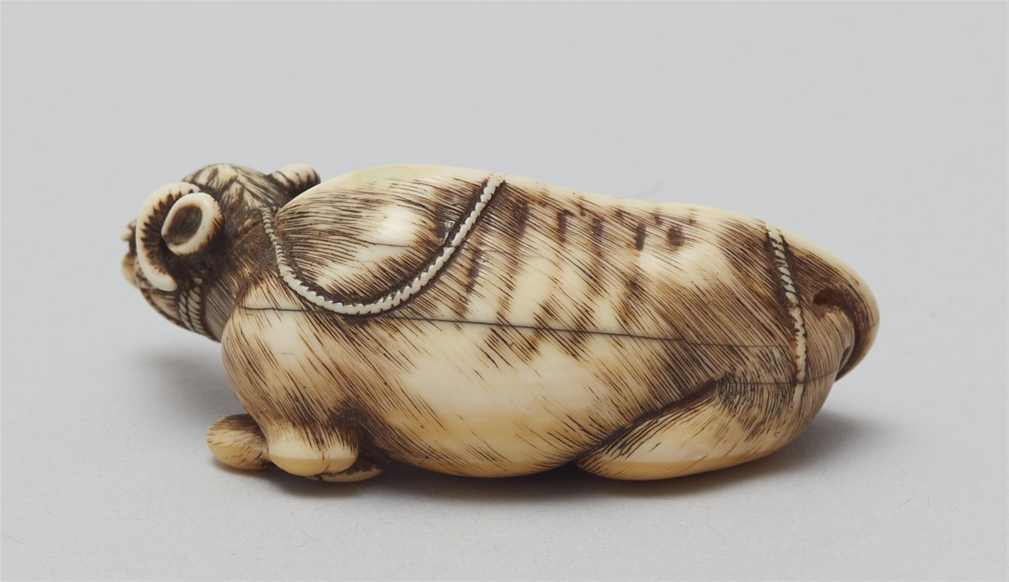 A very fine Kyoto school ivory netsuke of a recumbent ox, by Masanao. Late 18th century - image-3