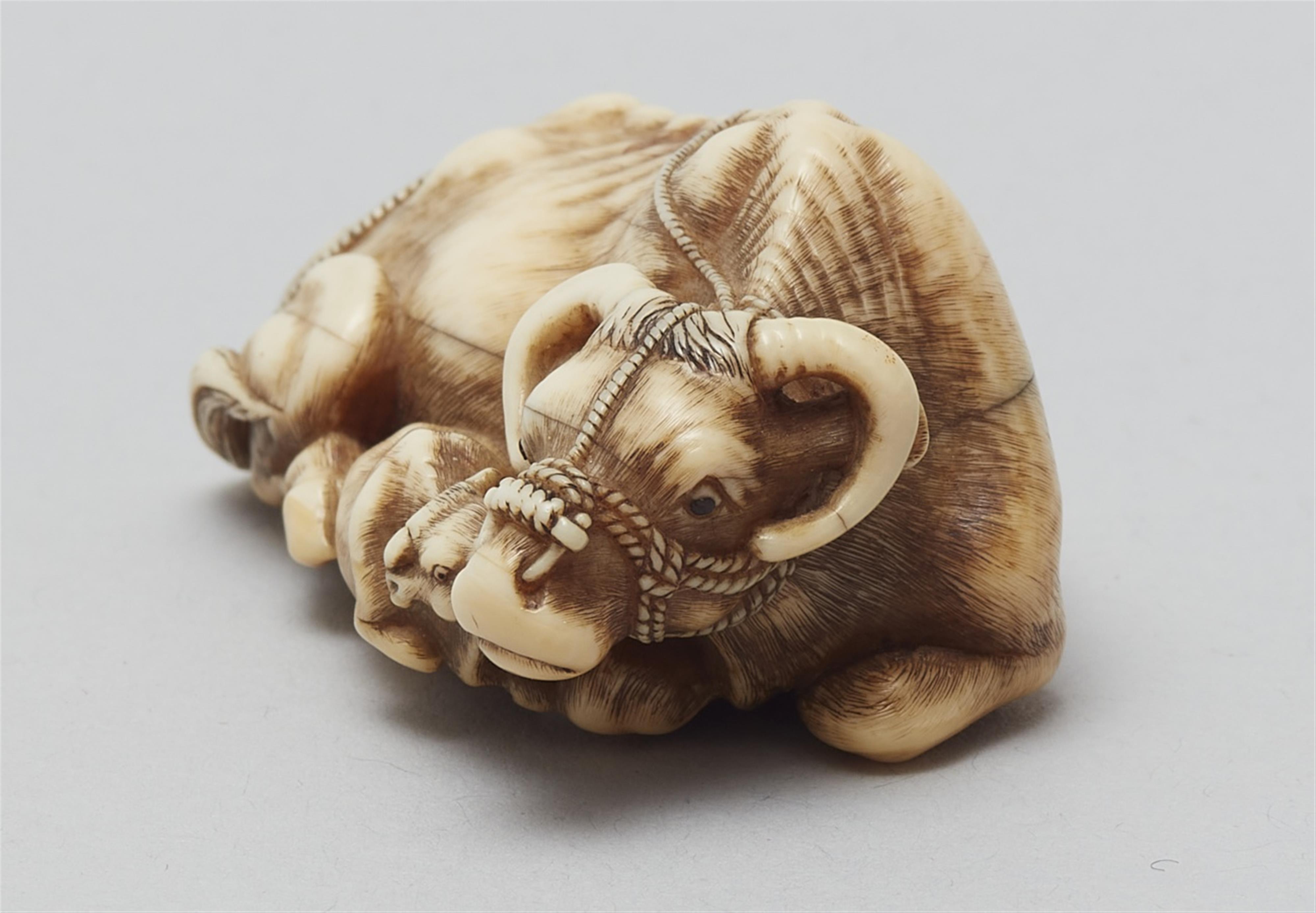 An ivory netsuke of a recumbent cow and calf. Late 18th century - image-4