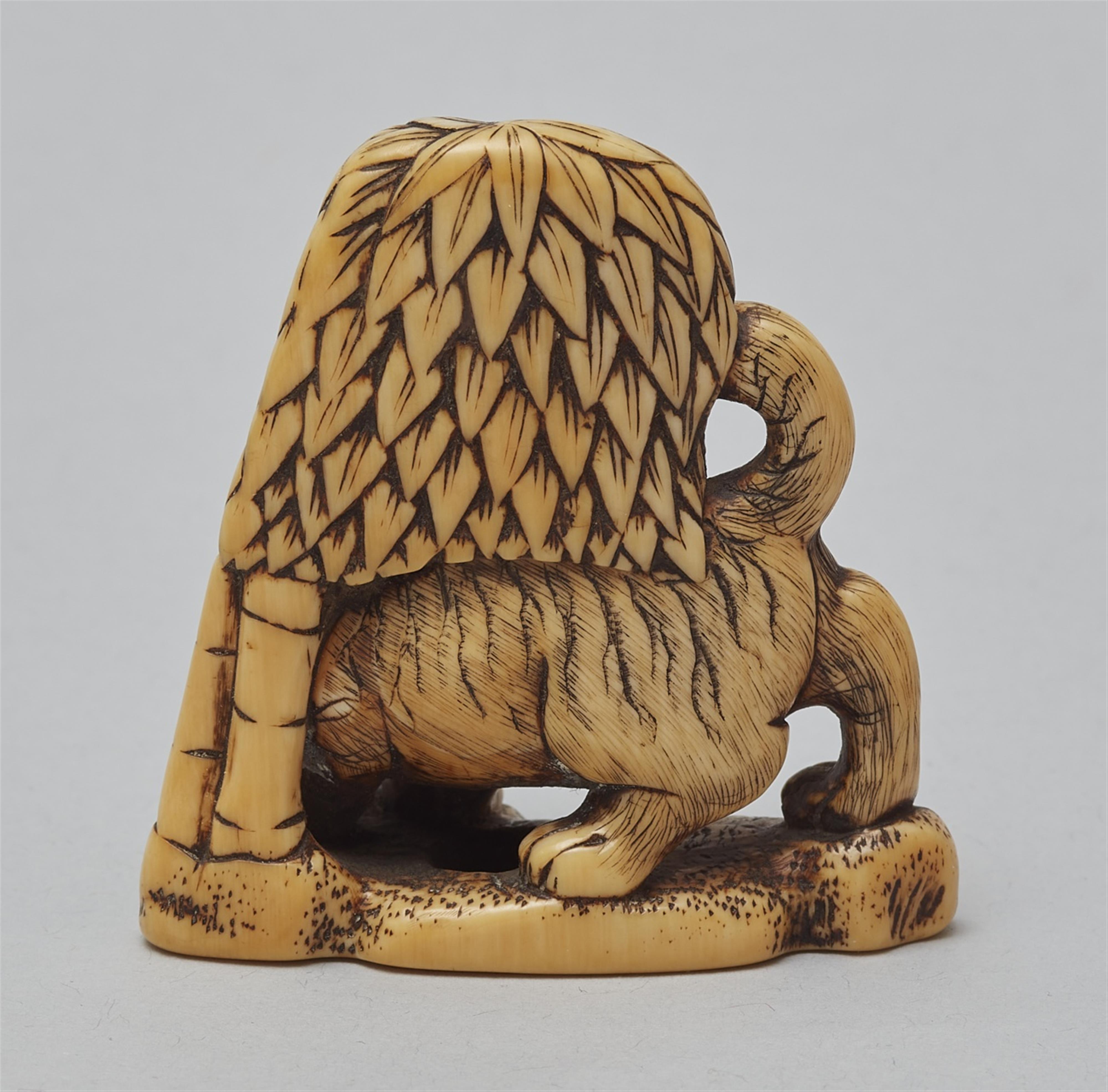 An ivory netsuke of tiger and bamboo. 18th century - image-2