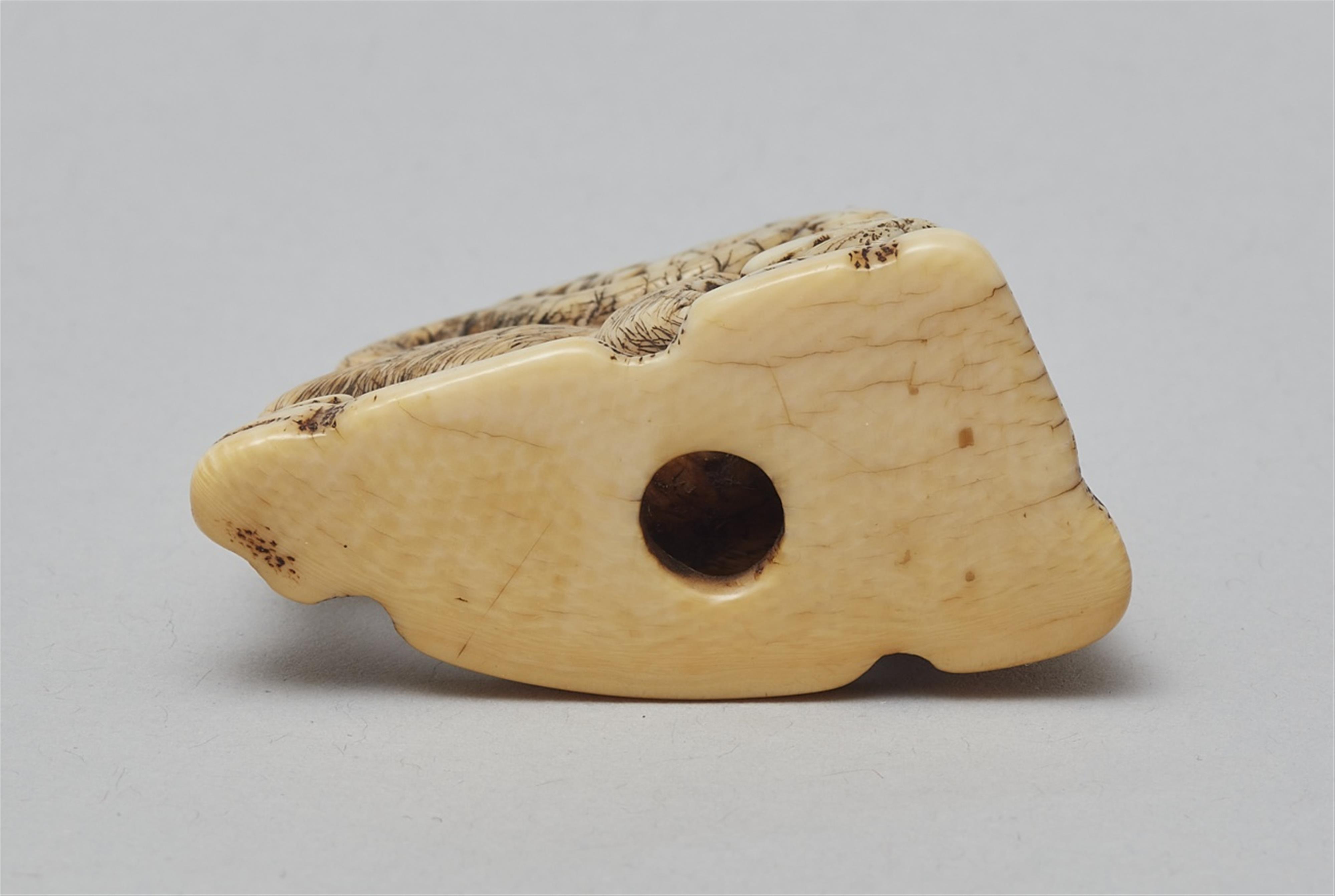 An ivory netsuke of tiger and bamboo. 18th century - image-3