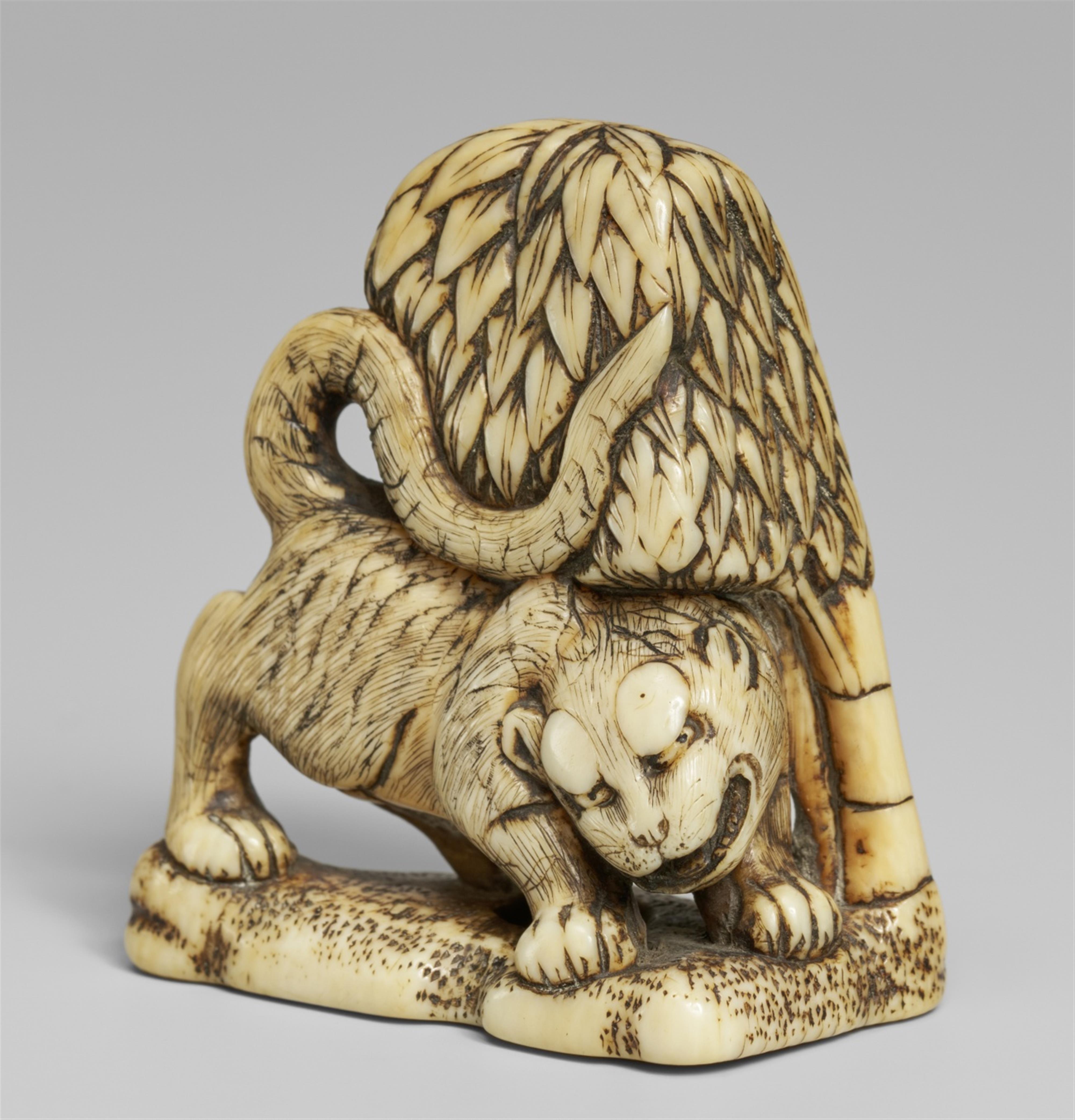 An ivory netsuke of tiger and bamboo. 18th century - image-1