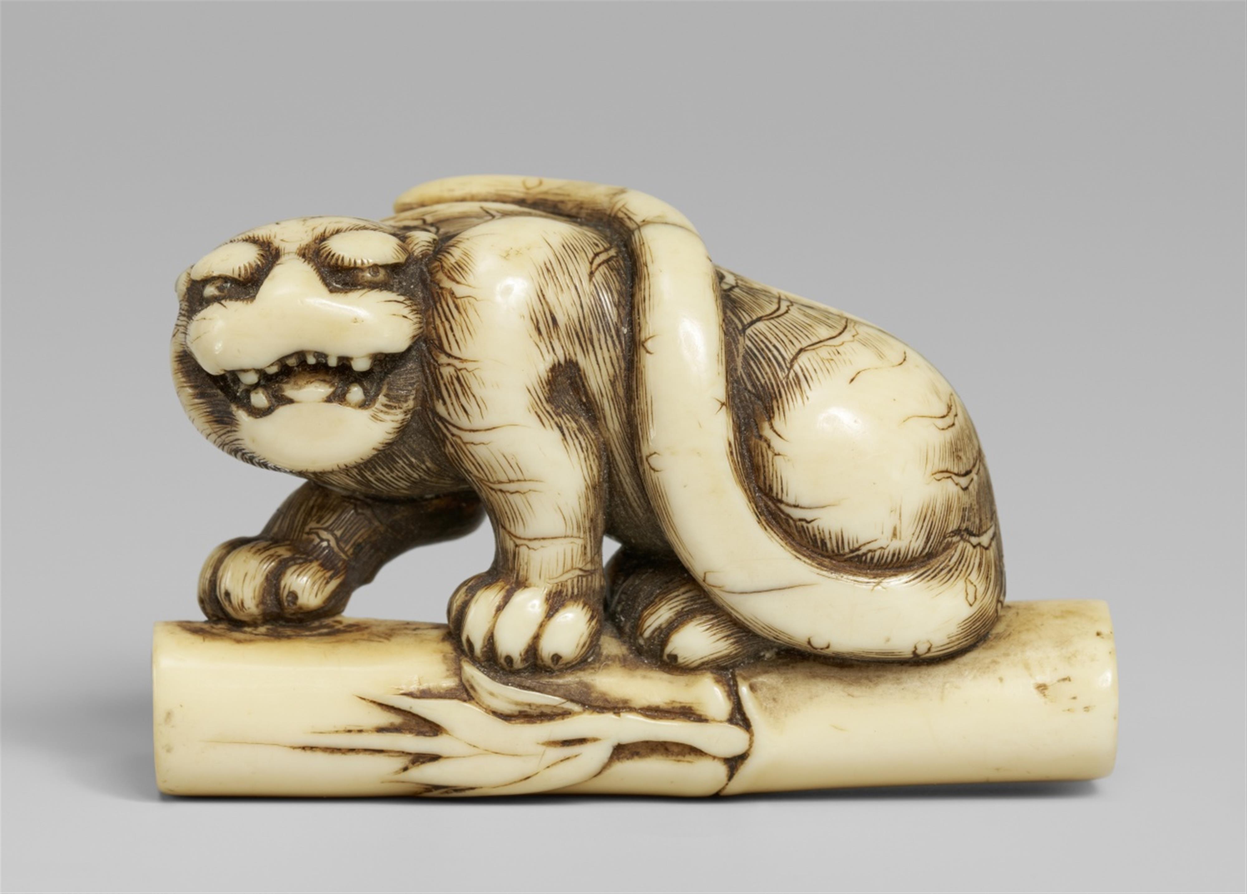 A fine ivory netsuke of a hissing tiger on a bamboo rod. Late 18th/early 19th century - image-1