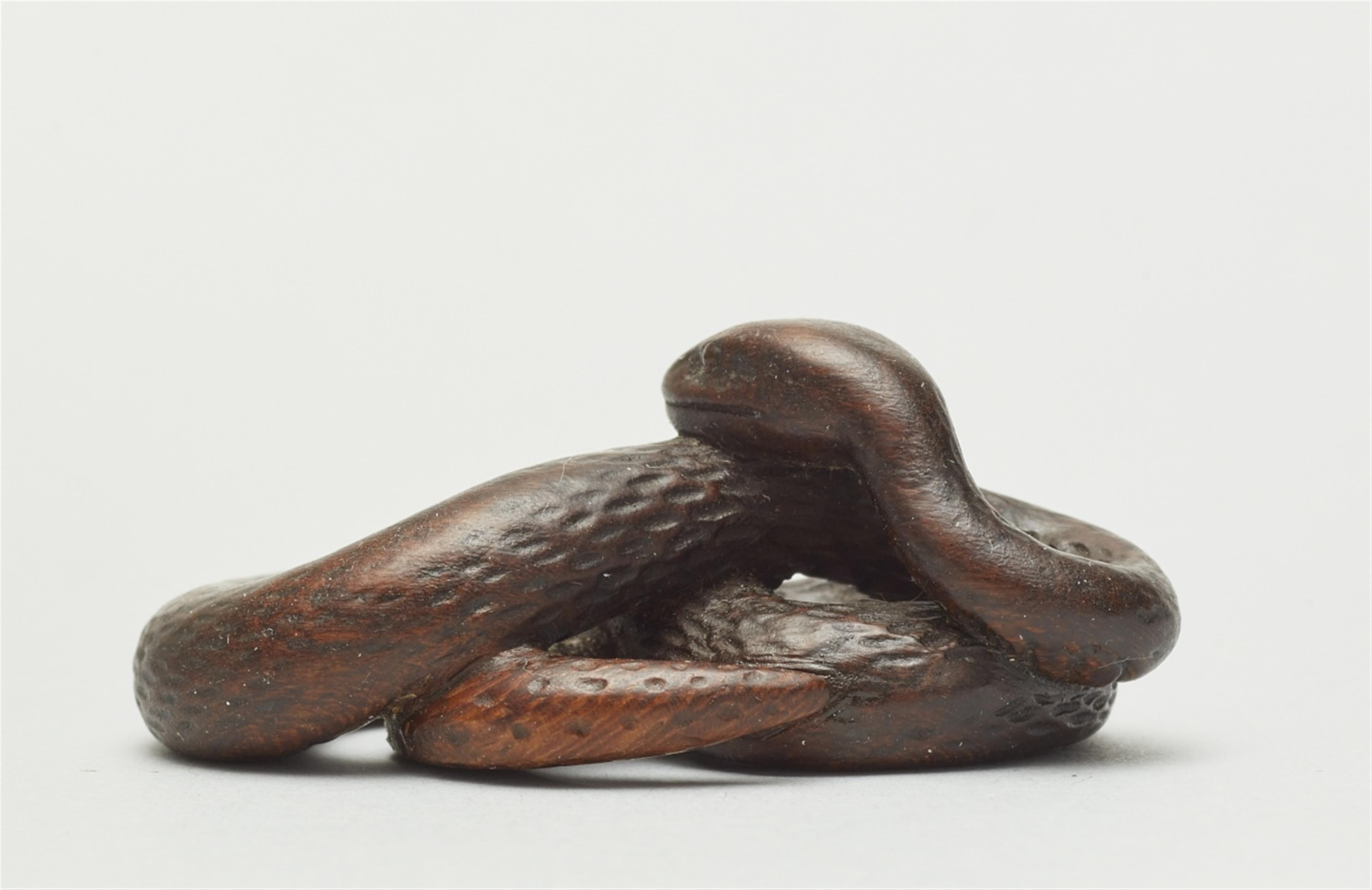 A wood netsuke of a snake. First half 19th century - image-2