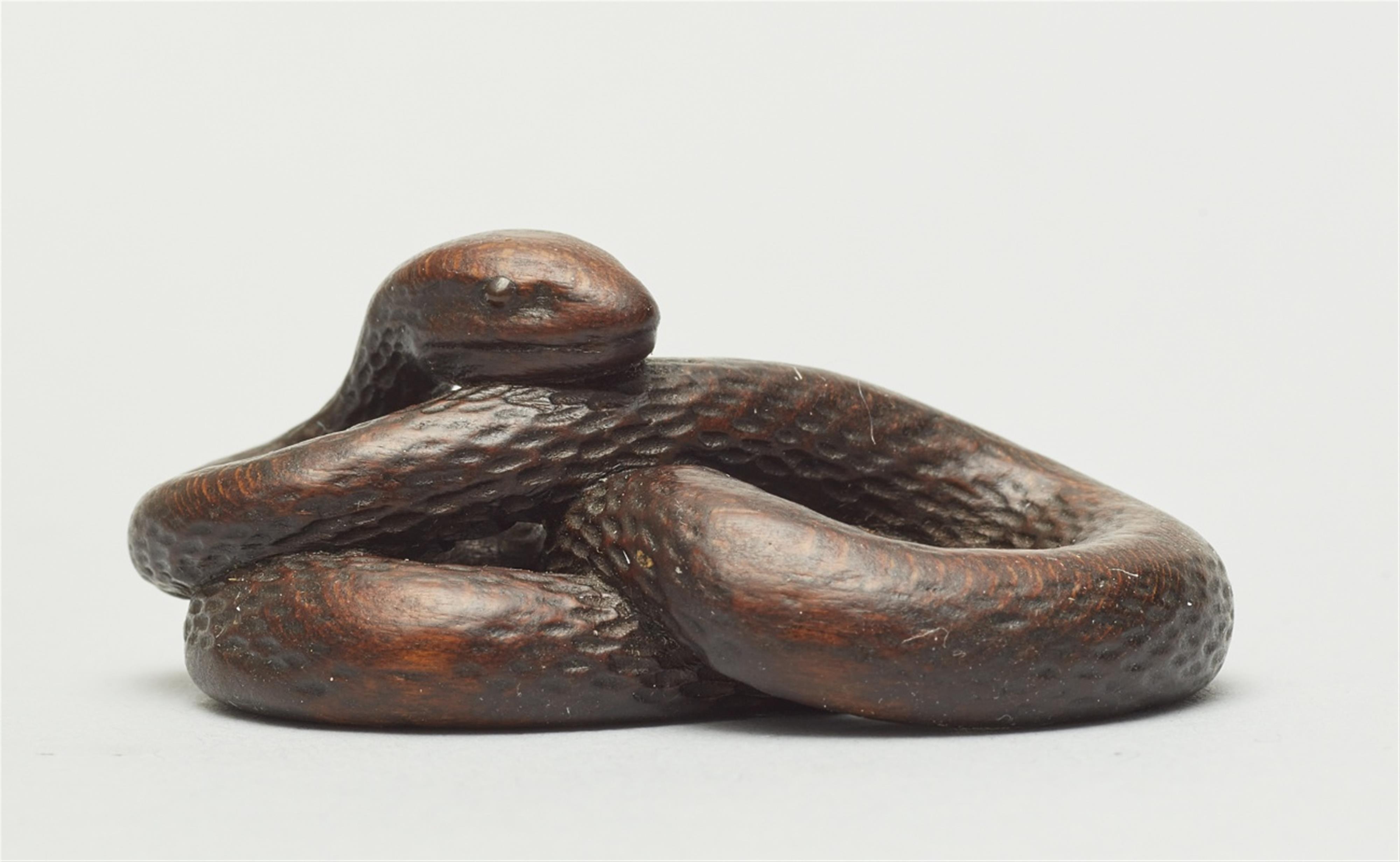 A wood netsuke of a snake. First half 19th century - image-3