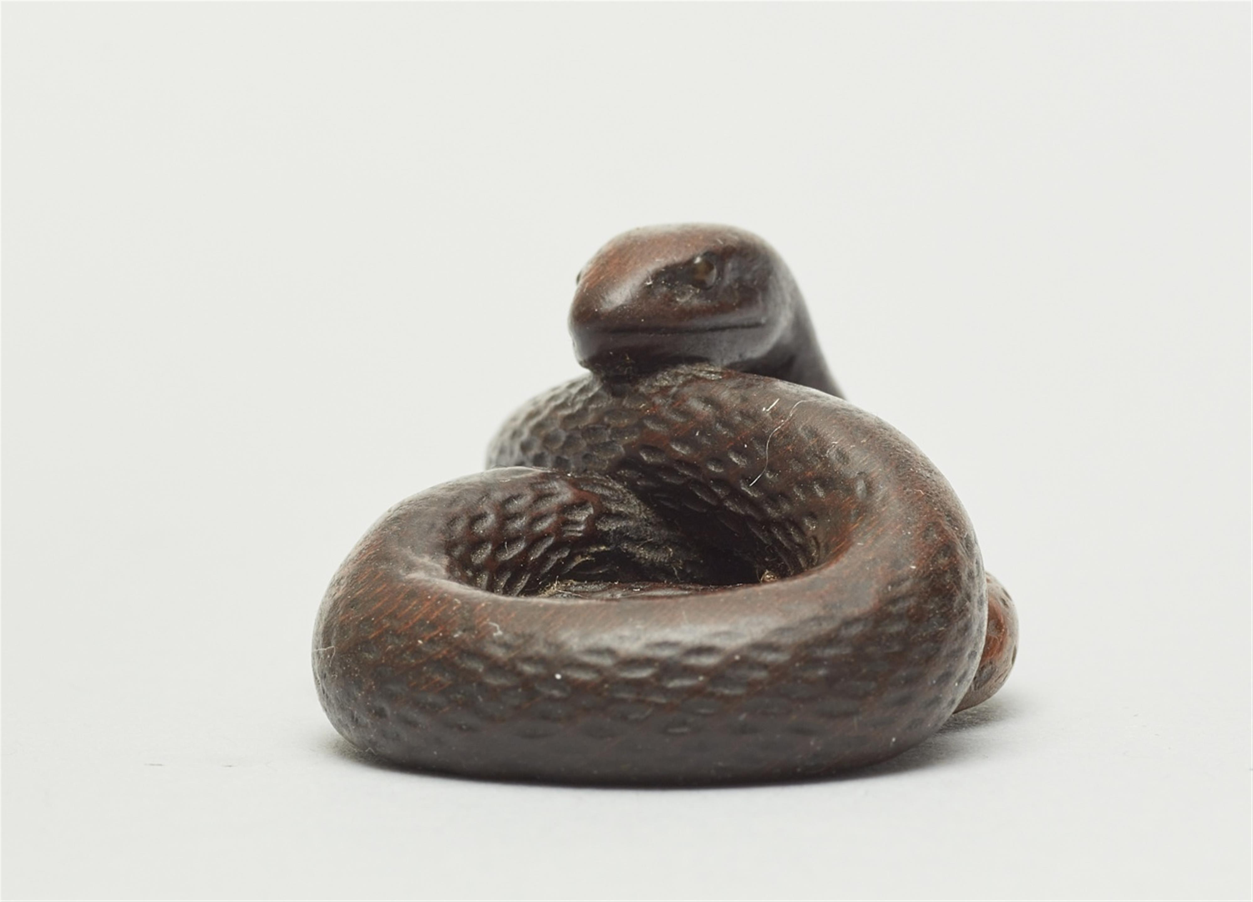 A wood netsuke of a snake. First half 19th century - image-4