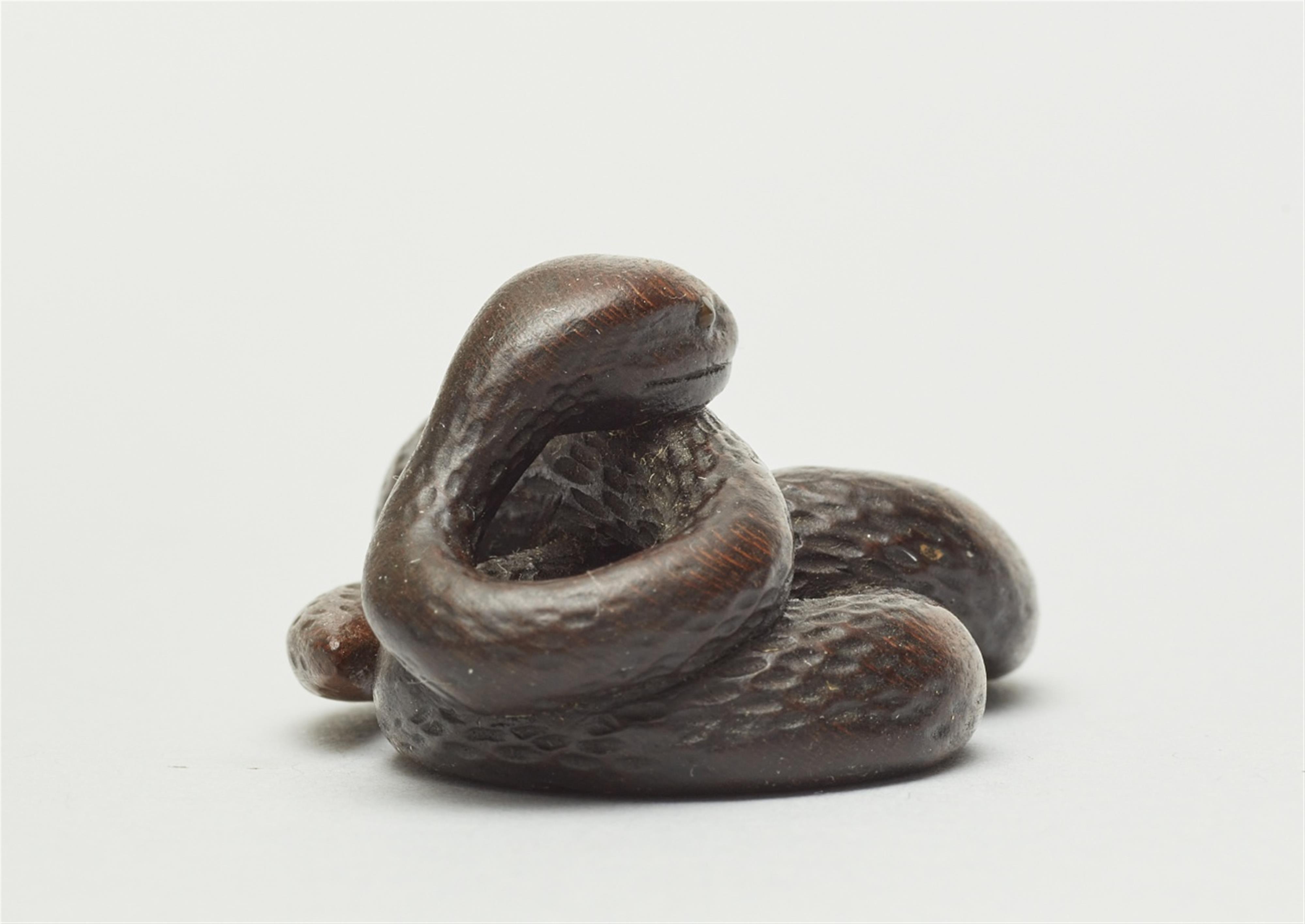 A wood netsuke of a snake. First half 19th century - image-5