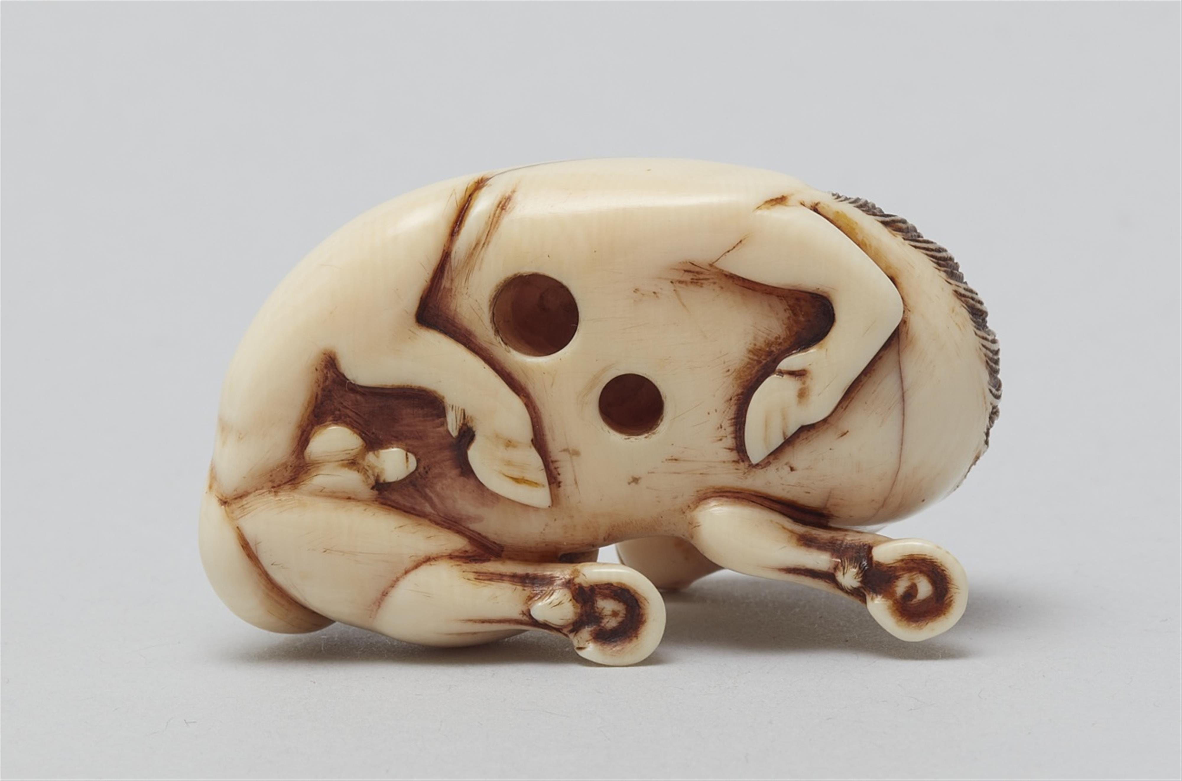 An ivory netsuke of a recumbent stallion. 19th century - image-2