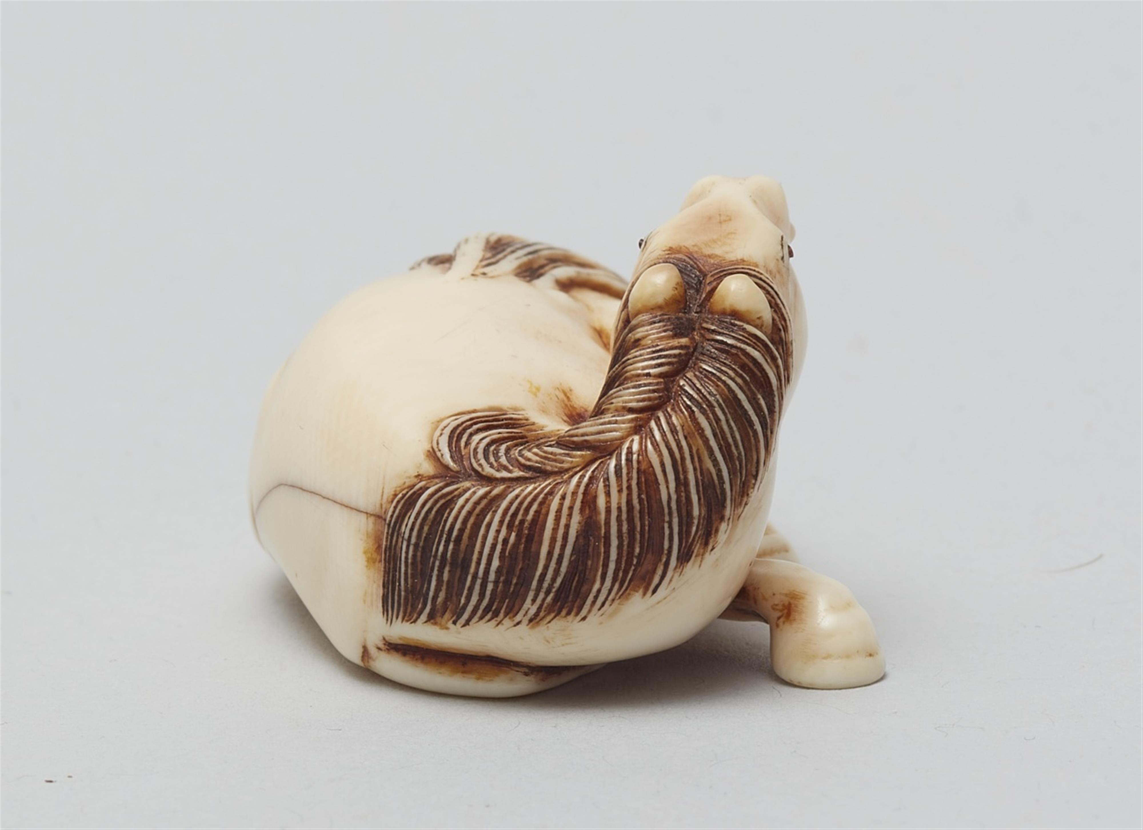 An ivory netsuke of a recumbent stallion. 19th century - image-3