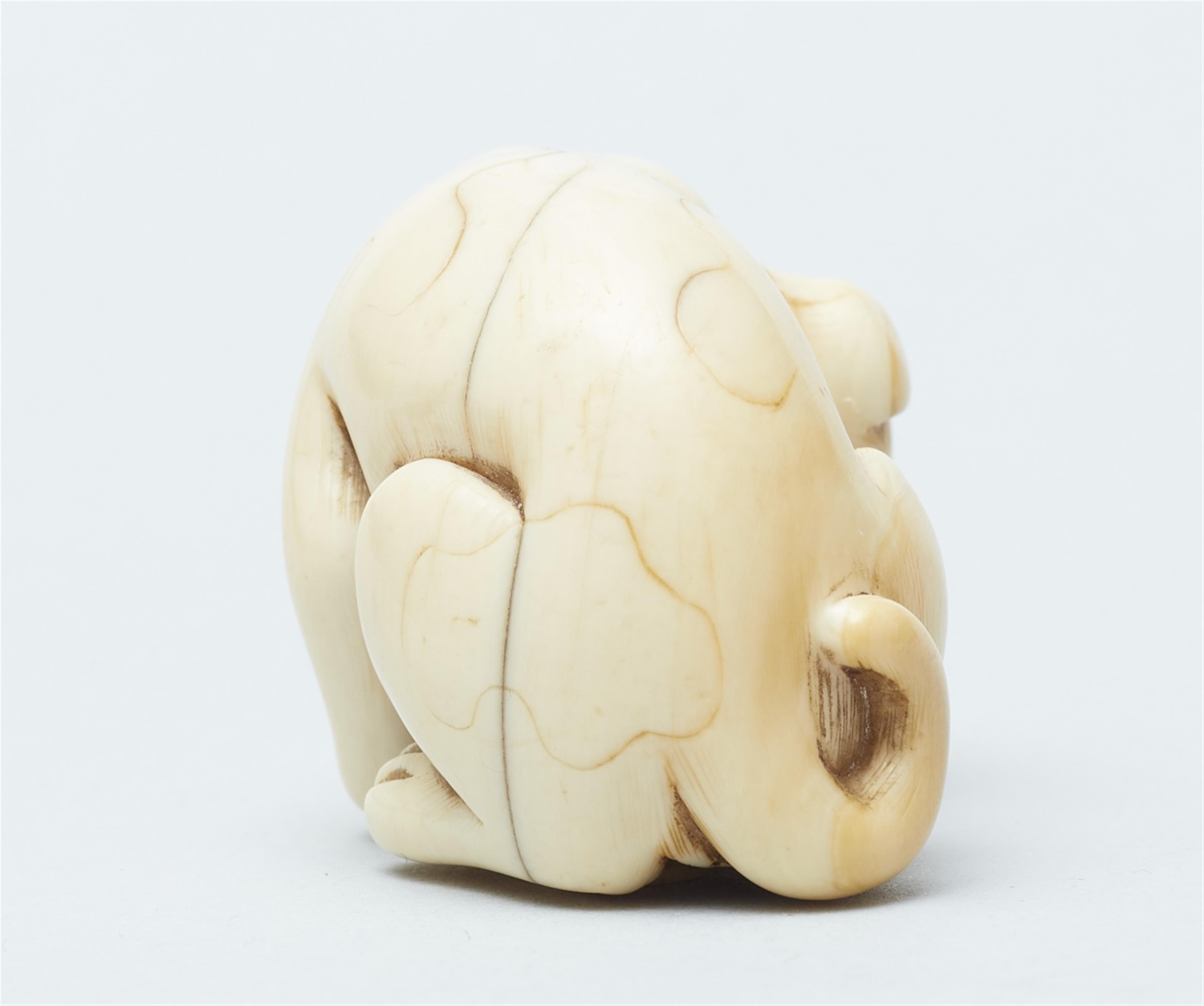 An ivory netsuke of a peabald dog. Late 18th/early 19th century - image-3