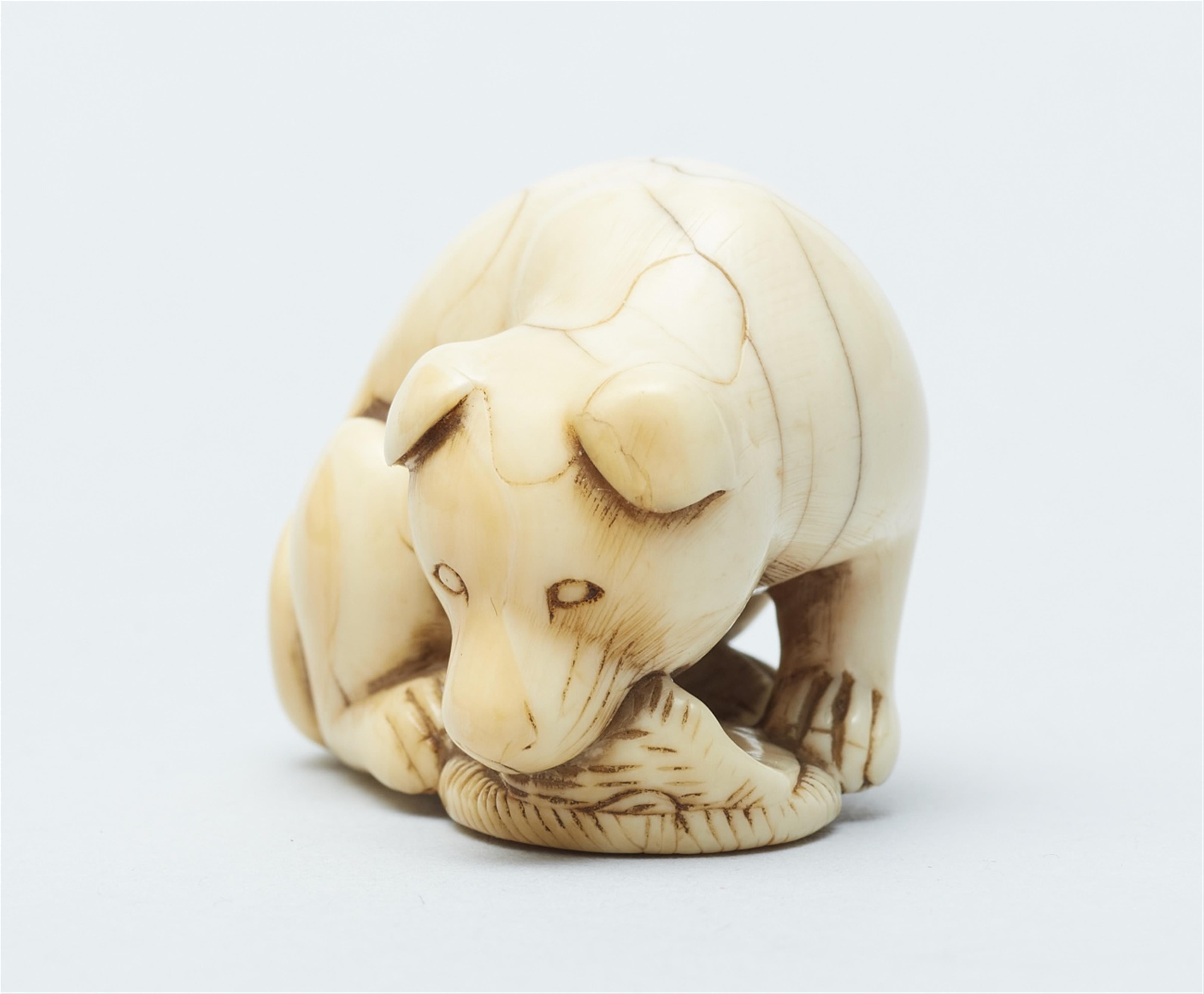 An ivory netsuke of a peabald dog. Late 18th/early 19th century - image-4