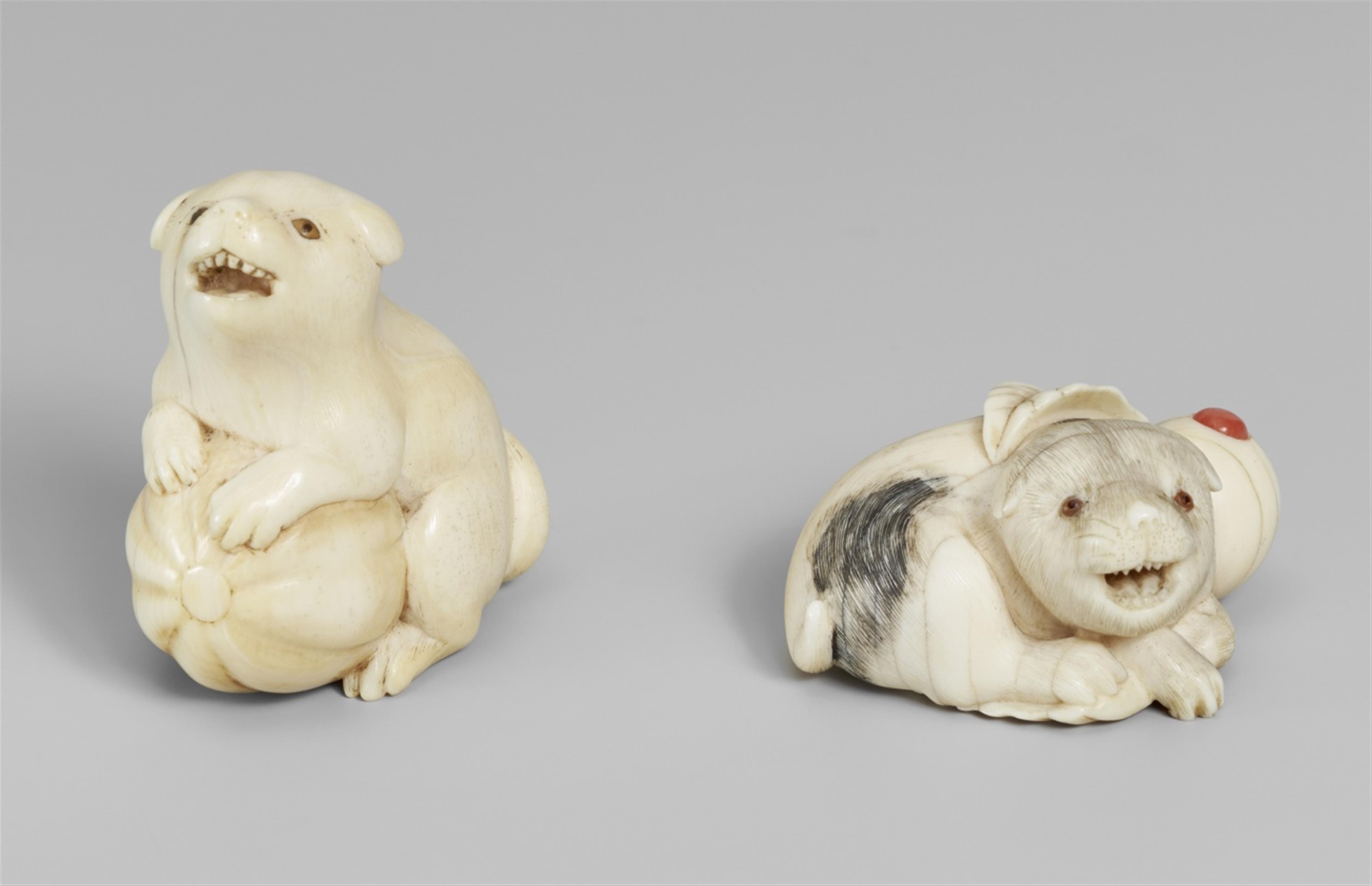 Zwei Netsuke von Hunden. Elfenbein. 1. Hälfte 19. Jh. - image-1