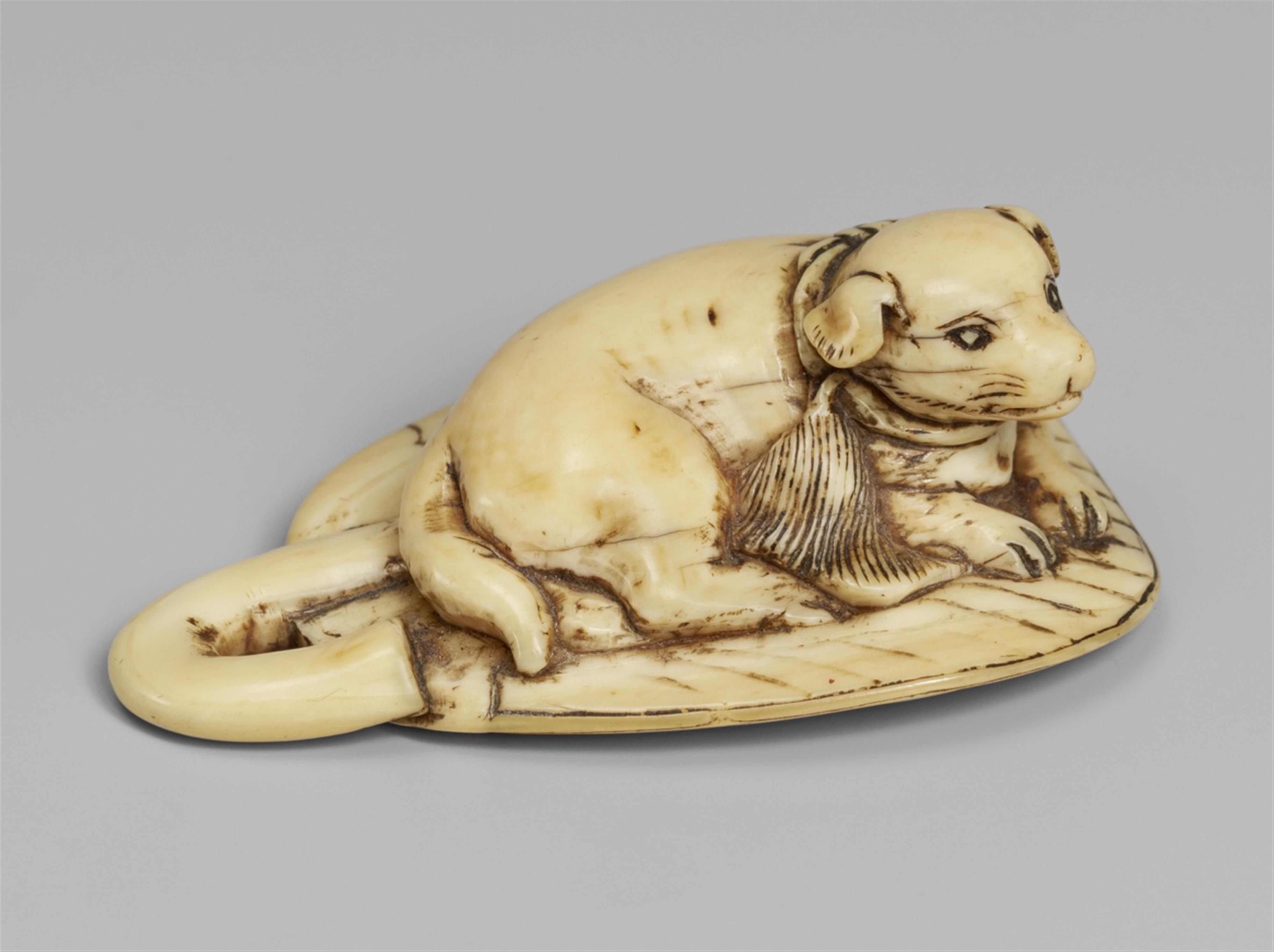 An ivory netsuke of a dog on an uchiwa. First half 19th century - image-1