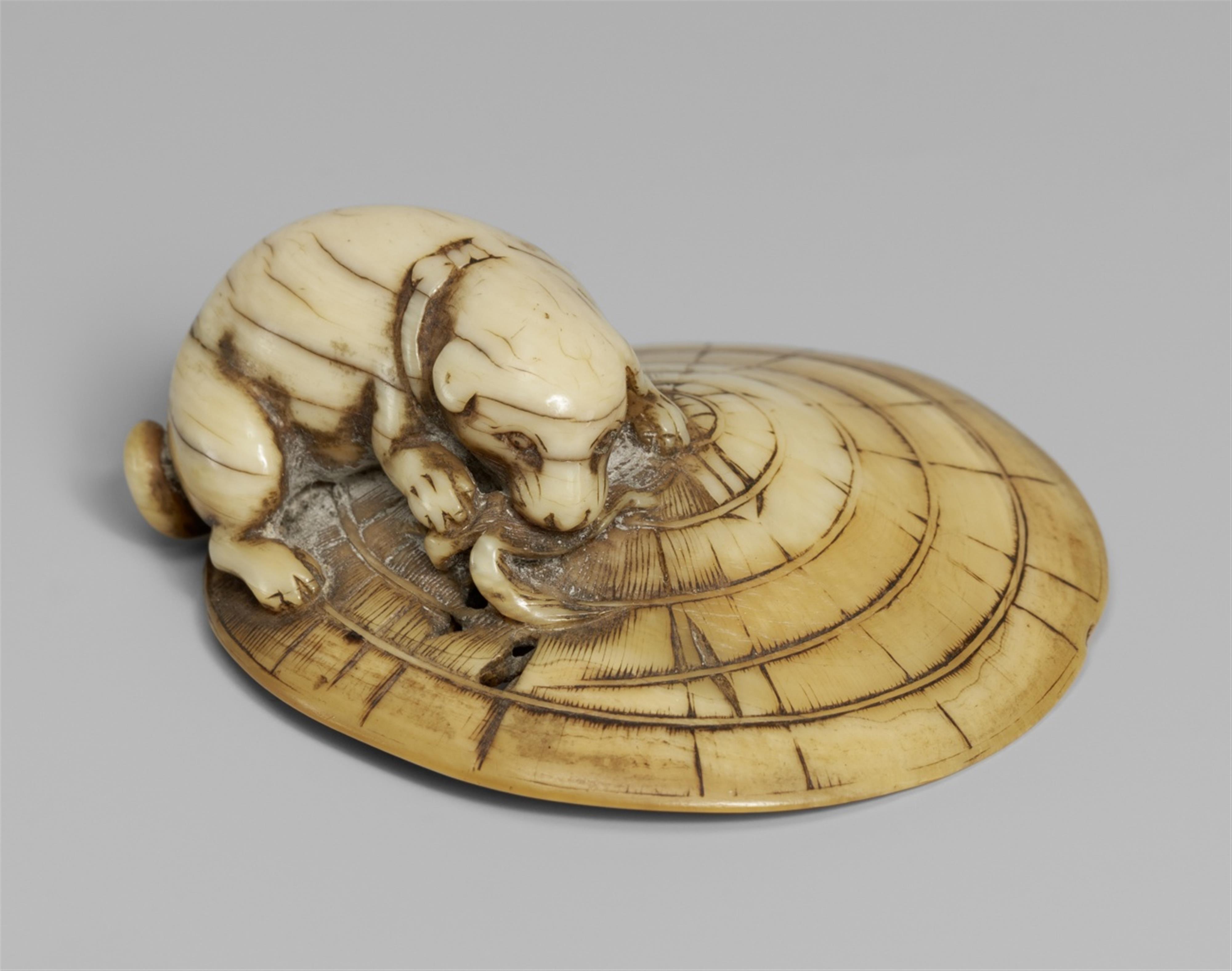 An ivory netsuke of a dog on a straw hat. Mid-19th century - image-1