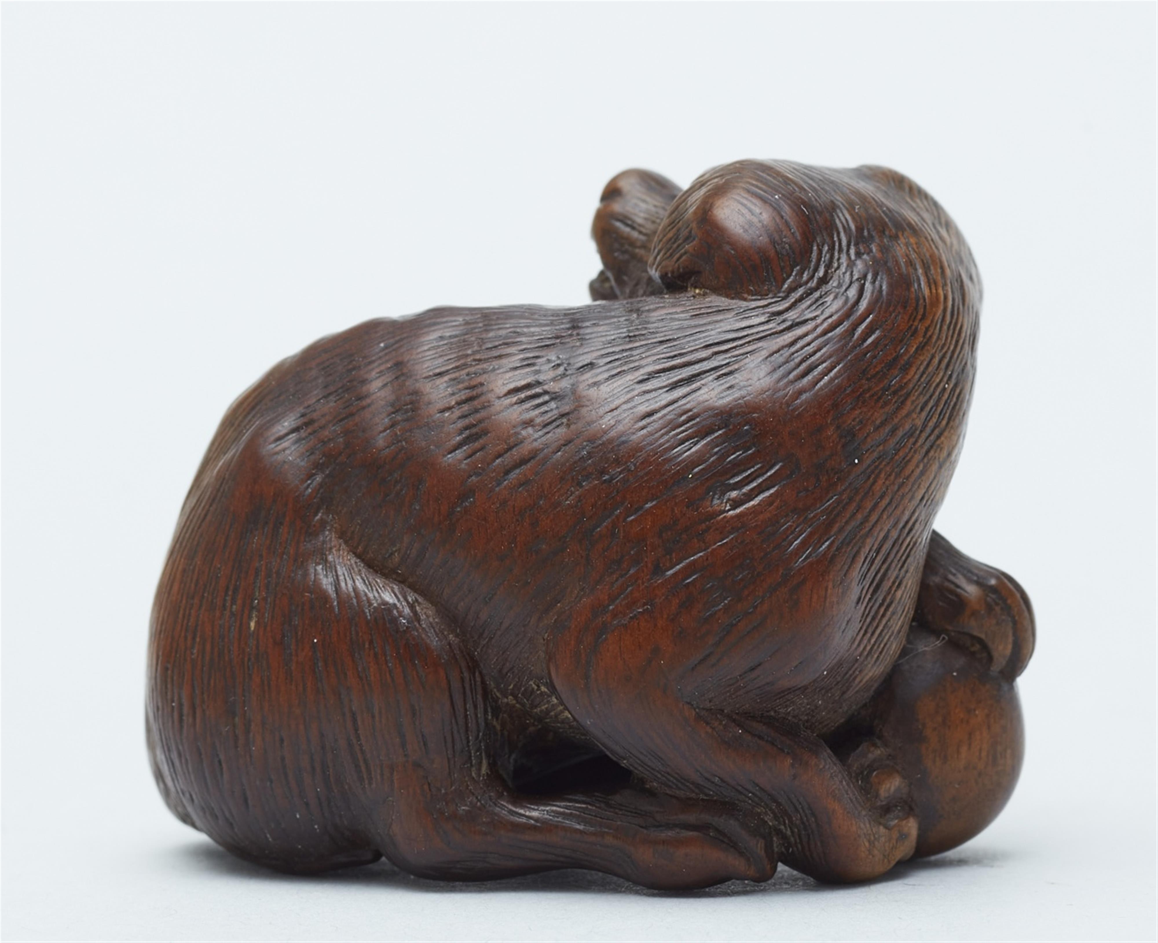 A wood netsuke of a dog. 19th century - image-2