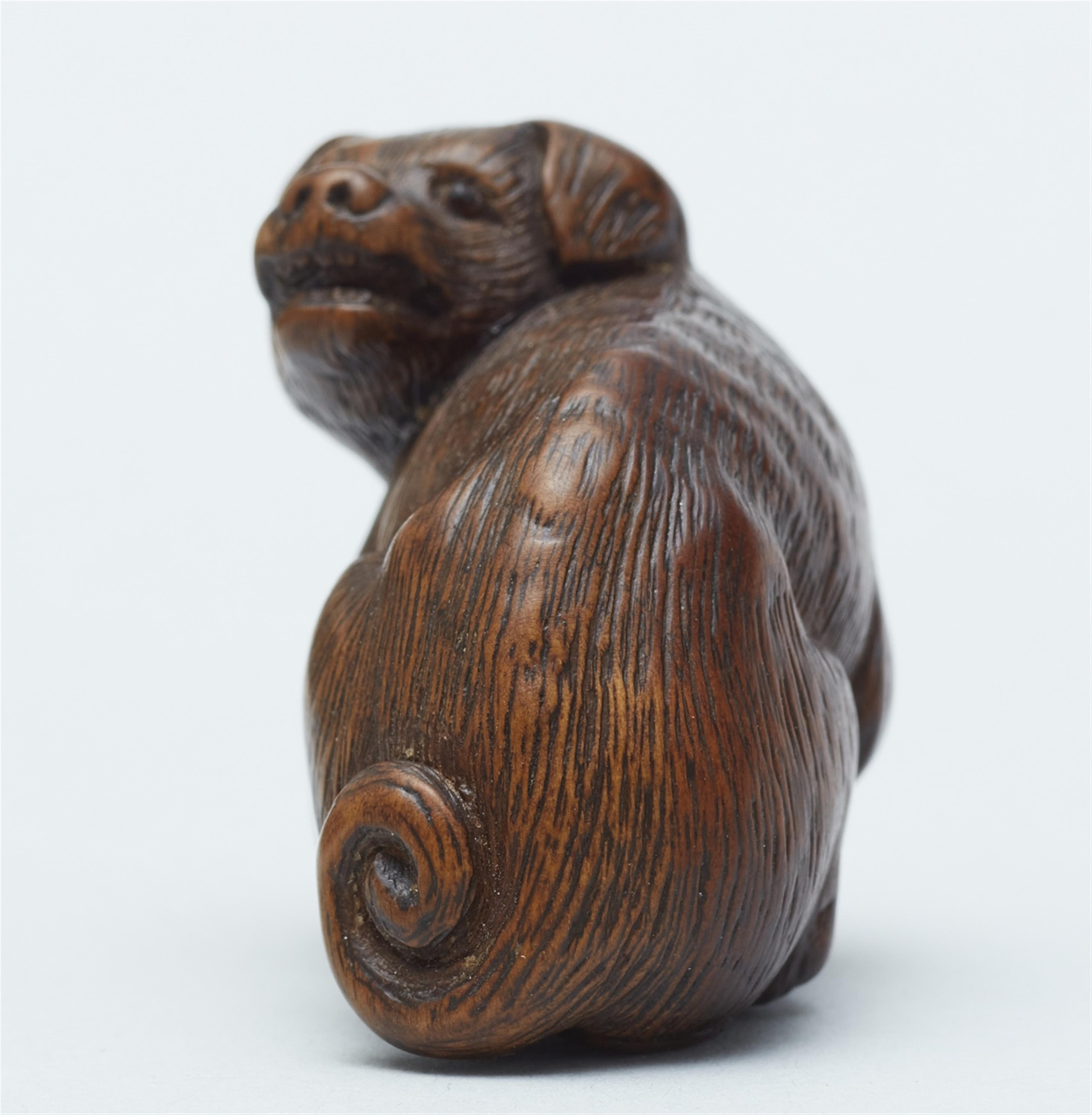 A wood netsuke of a dog. 19th century - image-4