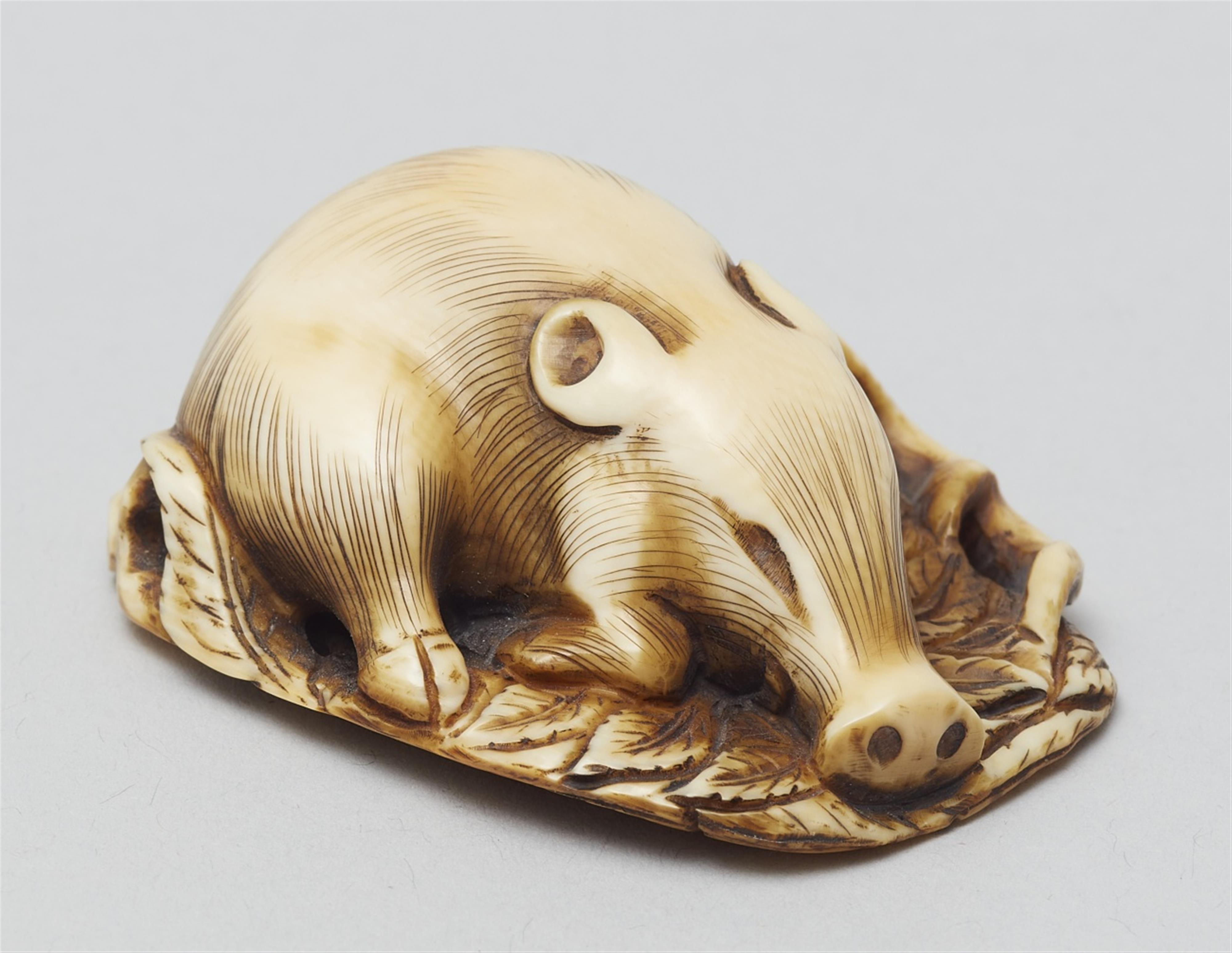 An ivory netsuke of a sleeping boar. Second half 19th century - image-2