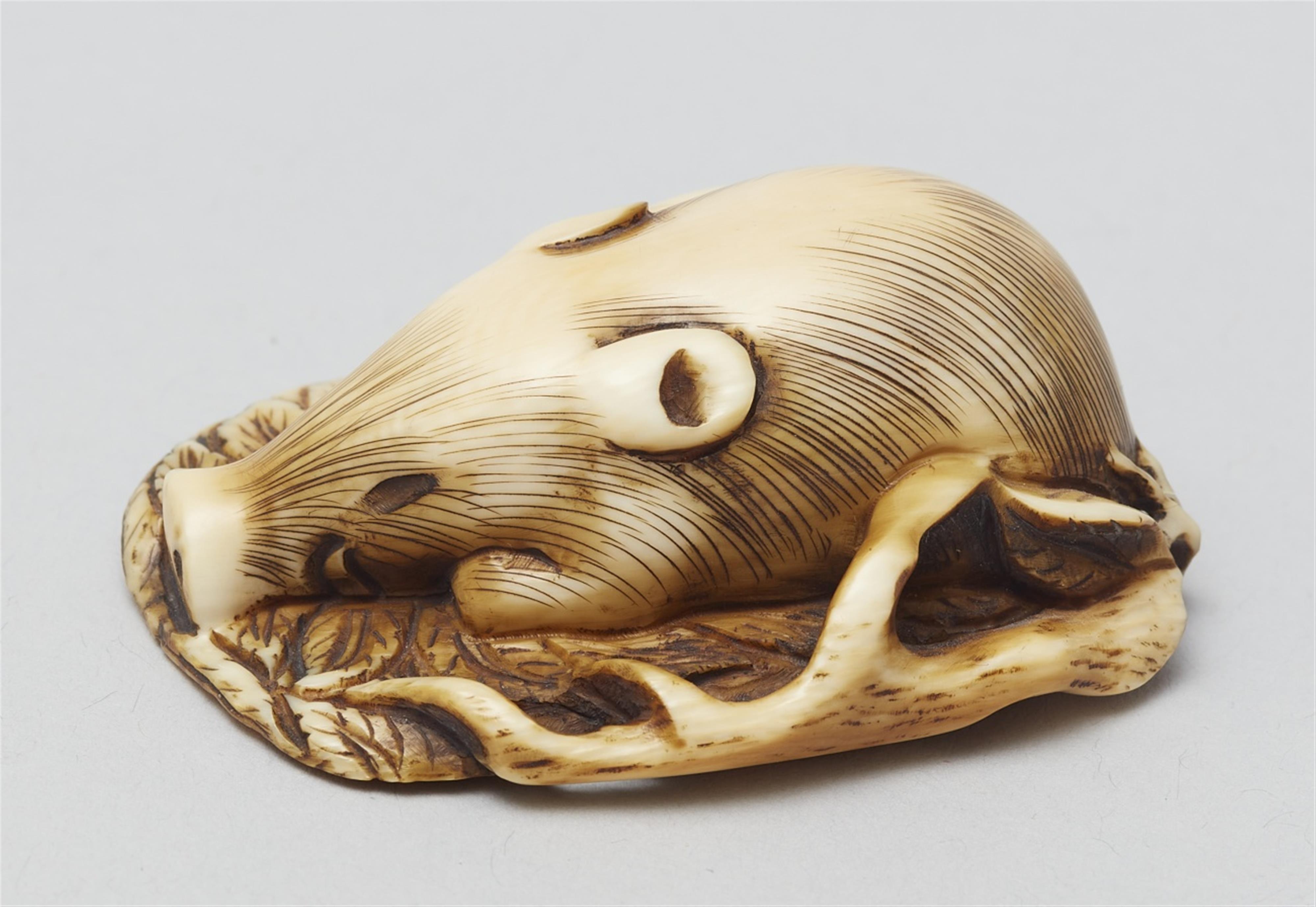 An ivory netsuke of a sleeping boar. Second half 19th century - image-3