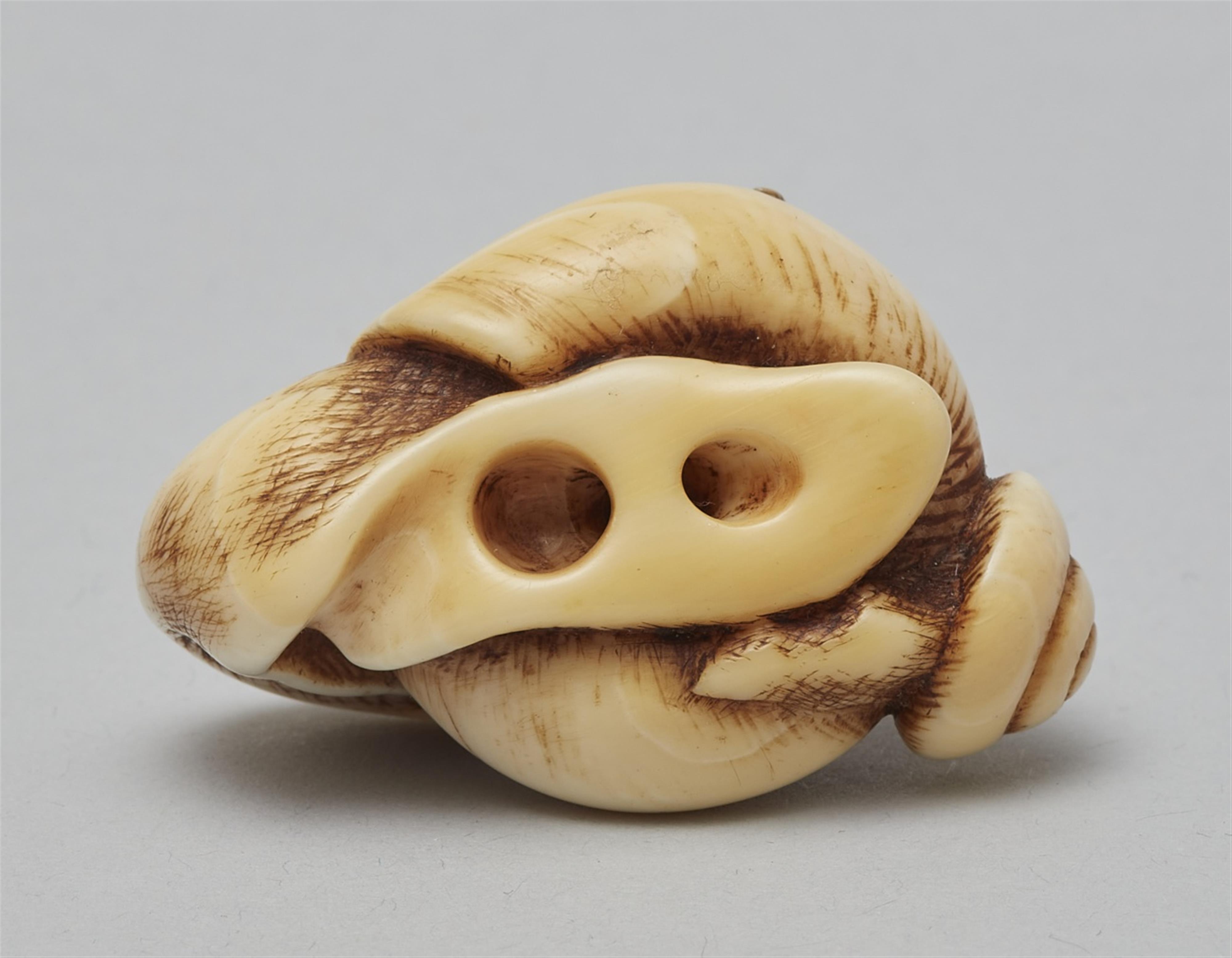 An ivory netsuke of two snails. 19th century - image-6