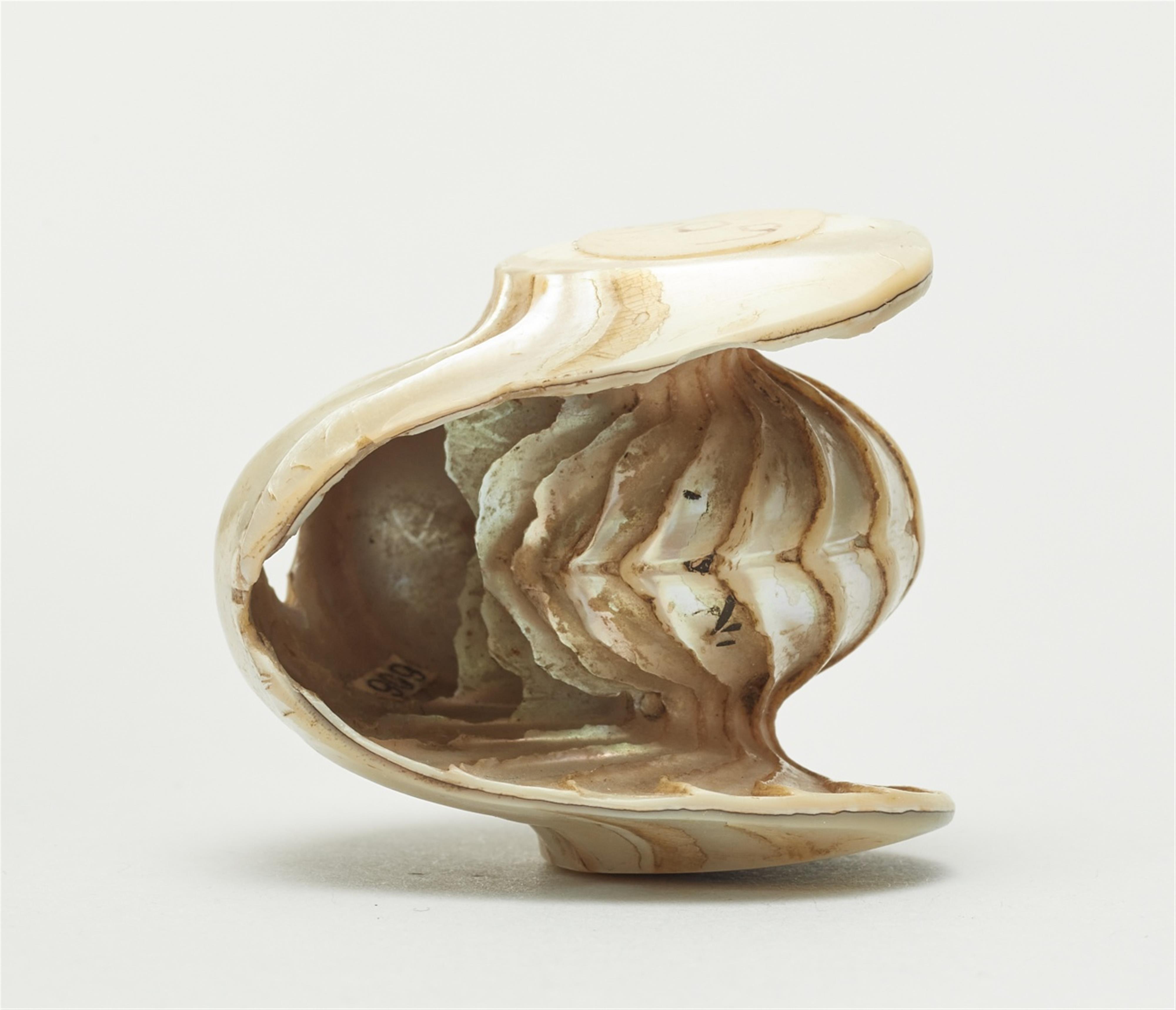 A nautilus shell netsuke of the inner core. Second half 19th century - image-6