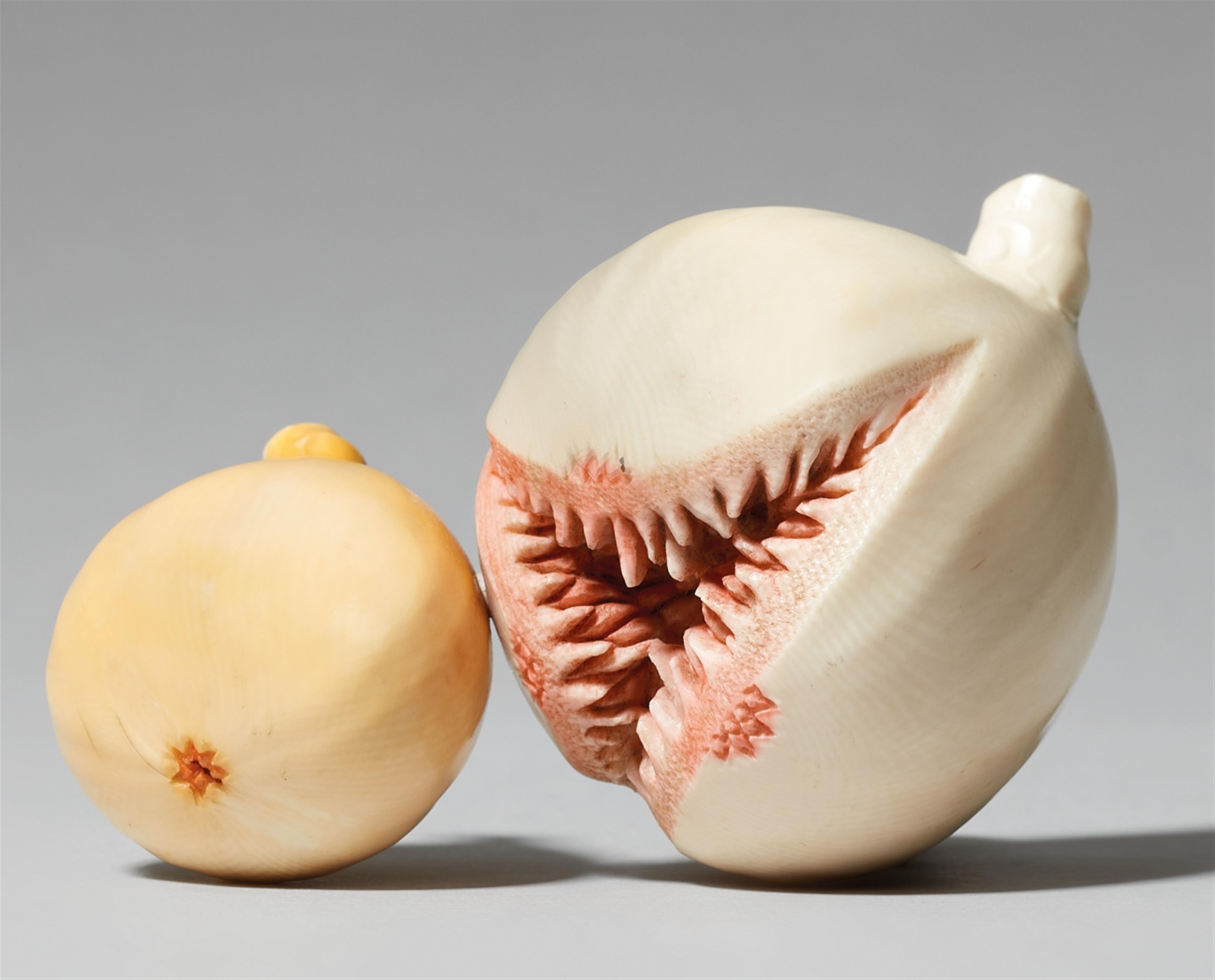 A naturalistic ivory model of two figs. Early 20th century - image-1