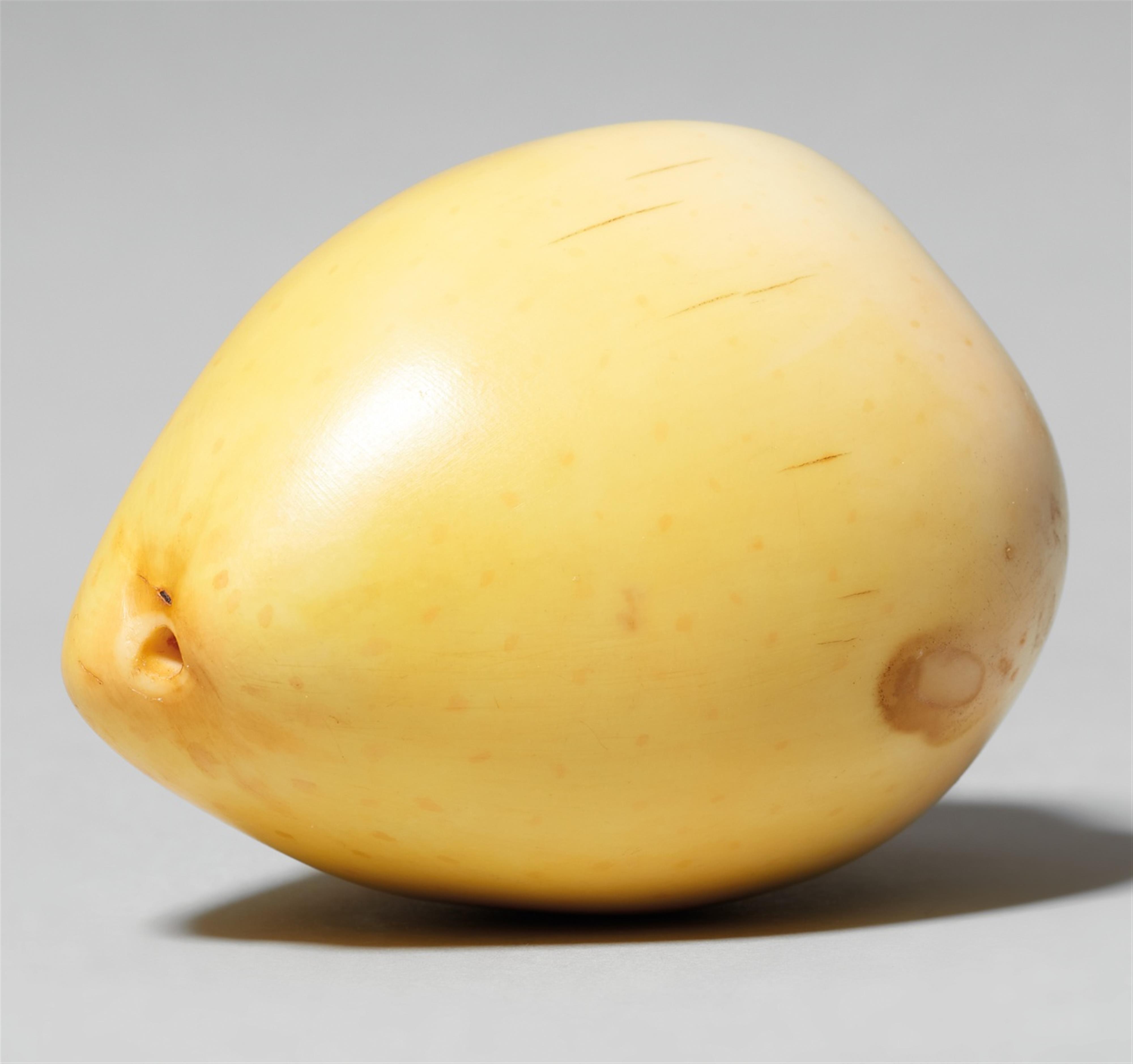 A naturalistic ivory model of a pear (nashi) - image-1