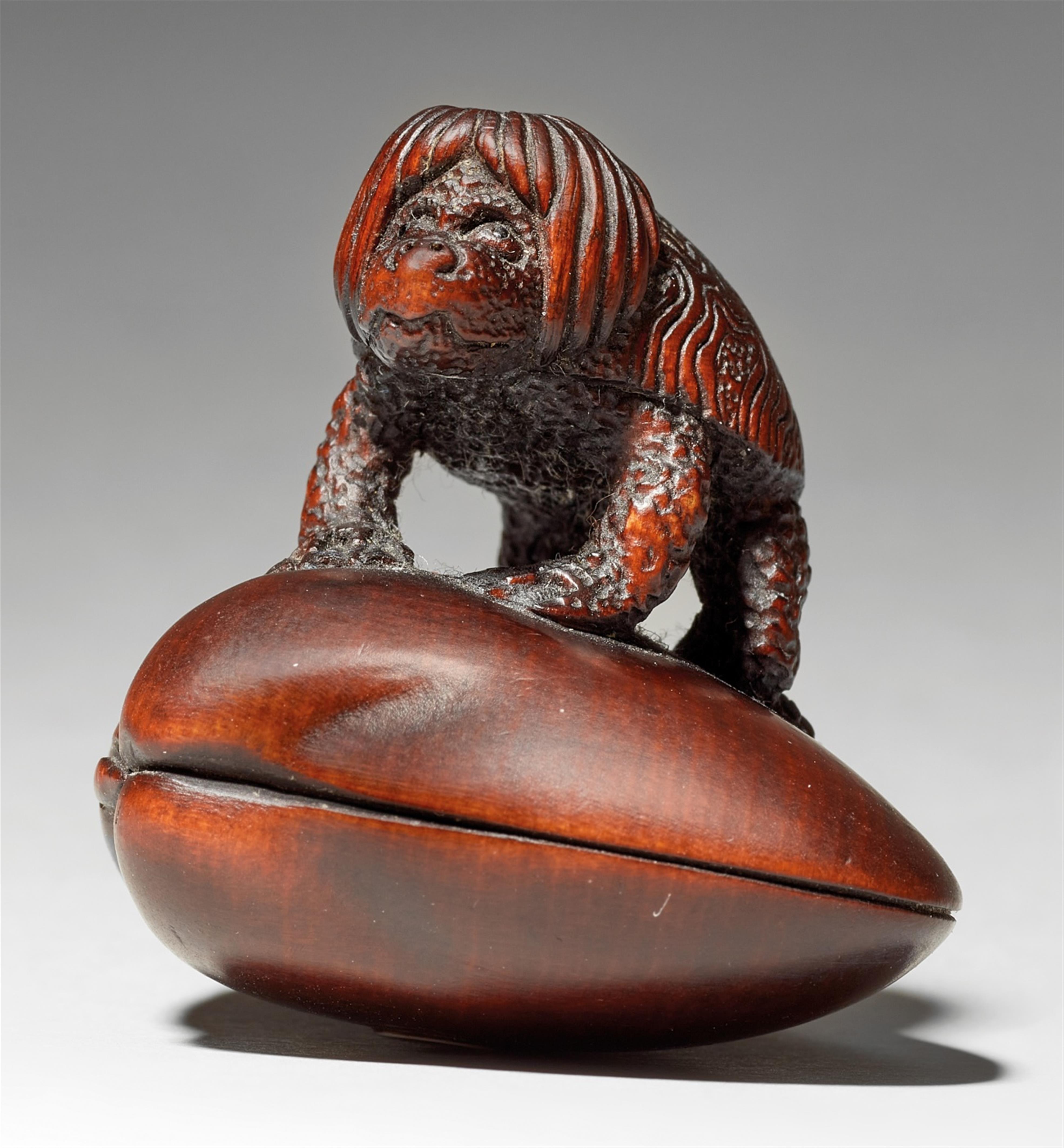 A wood netsuke of a kappa on a shell. Early 20th century - image-1