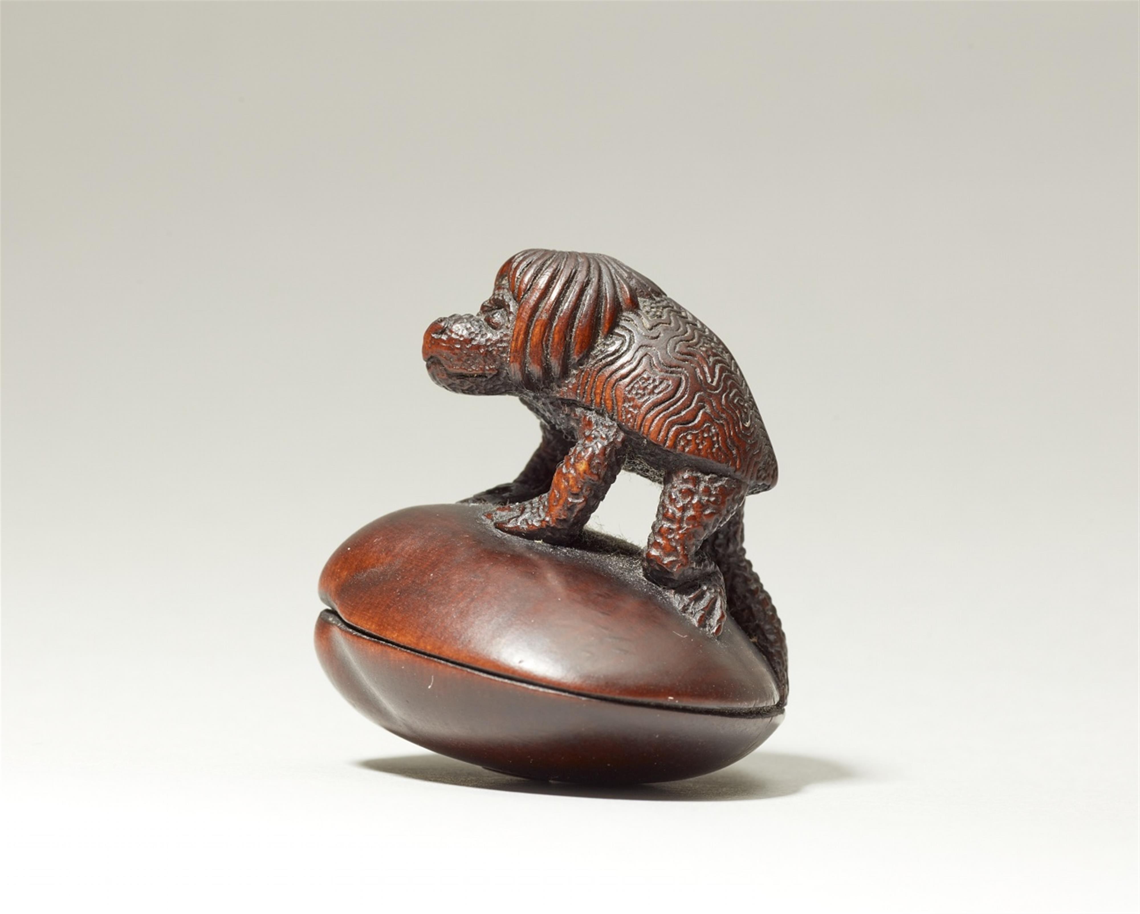 A wood netsuke of a kappa on a shell. Early 20th century - image-2