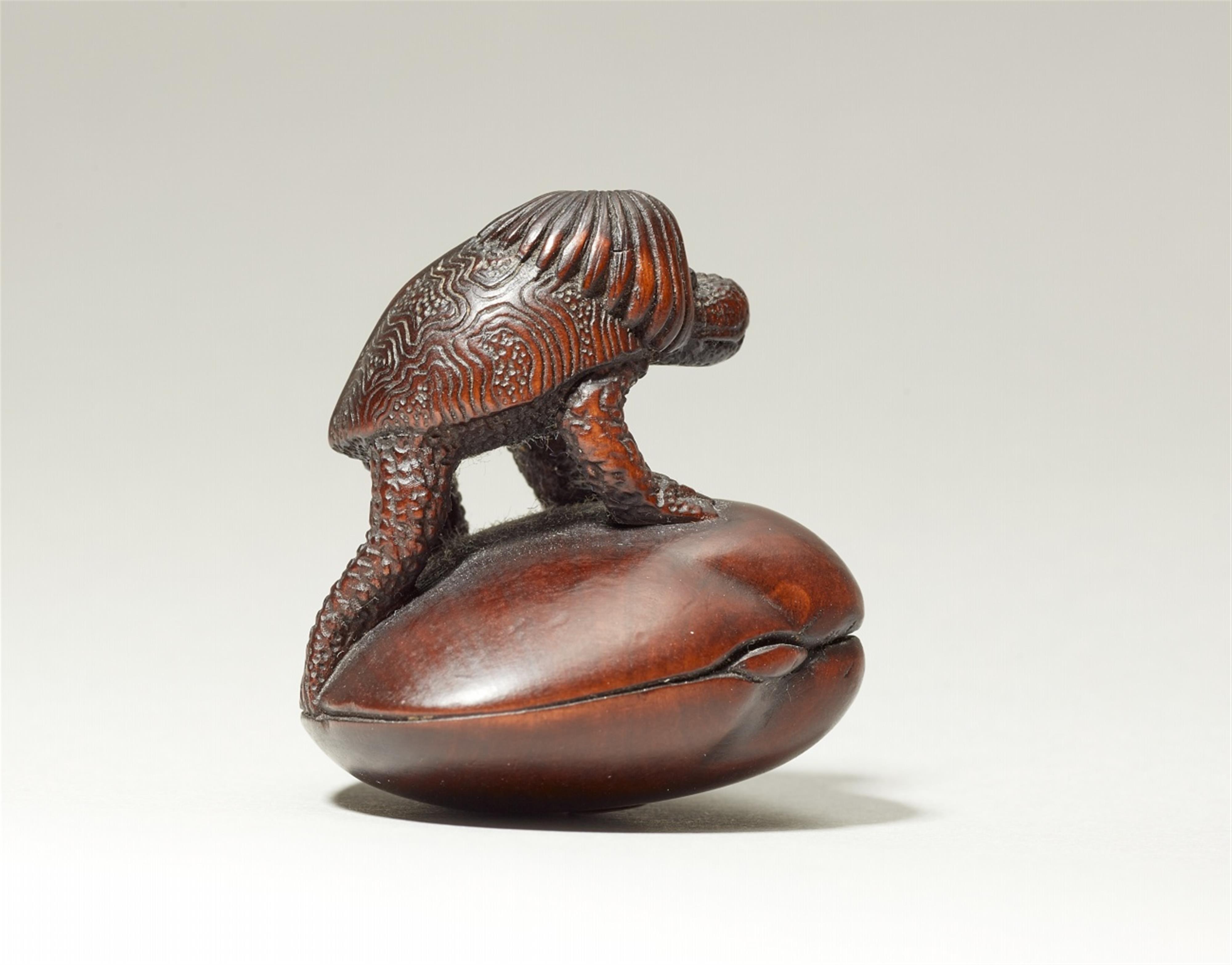 A wood netsuke of a kappa on a shell. Early 20th century - image-4