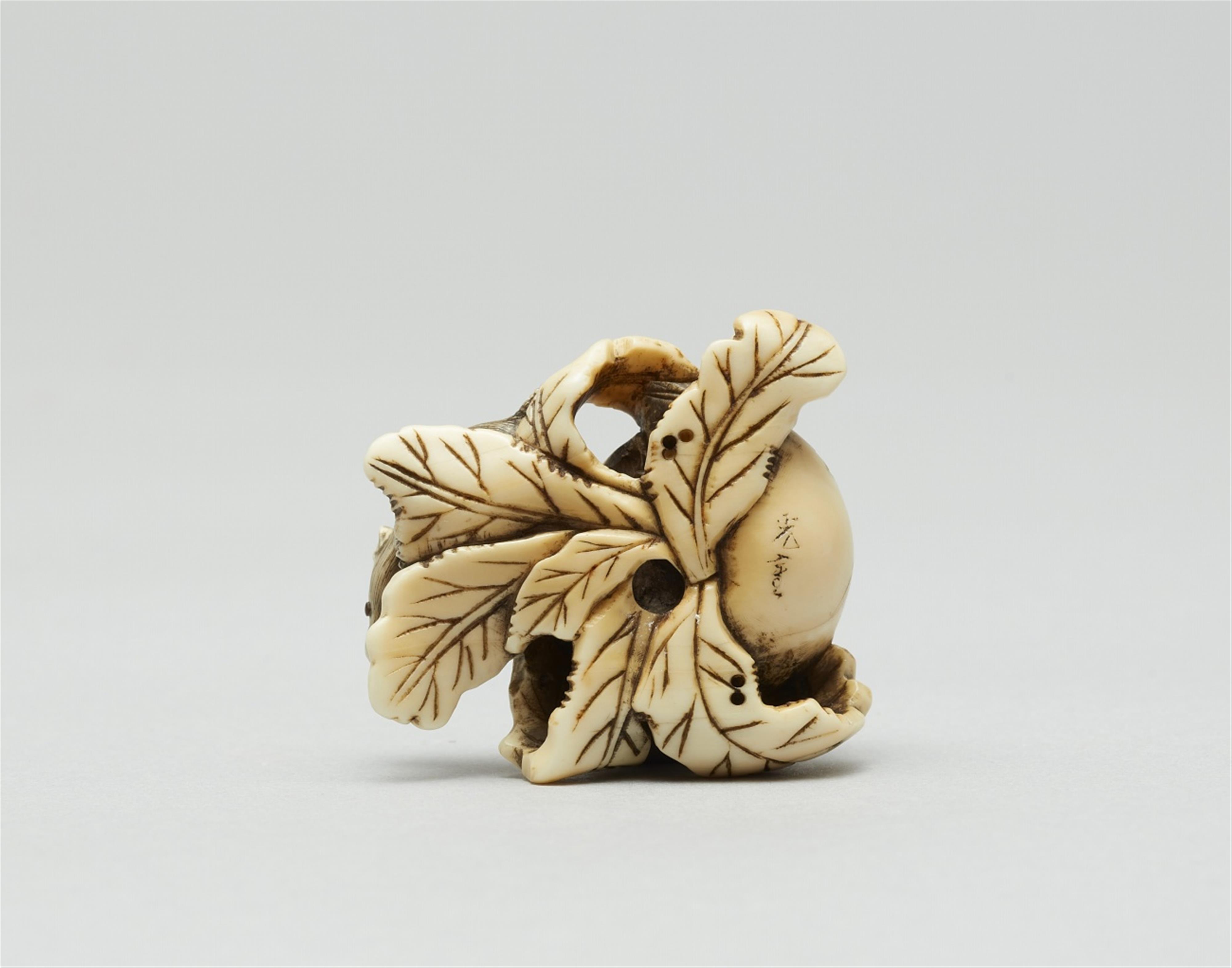 A marine ivory netsuke of a rat with a fruit. 19th century - image-6