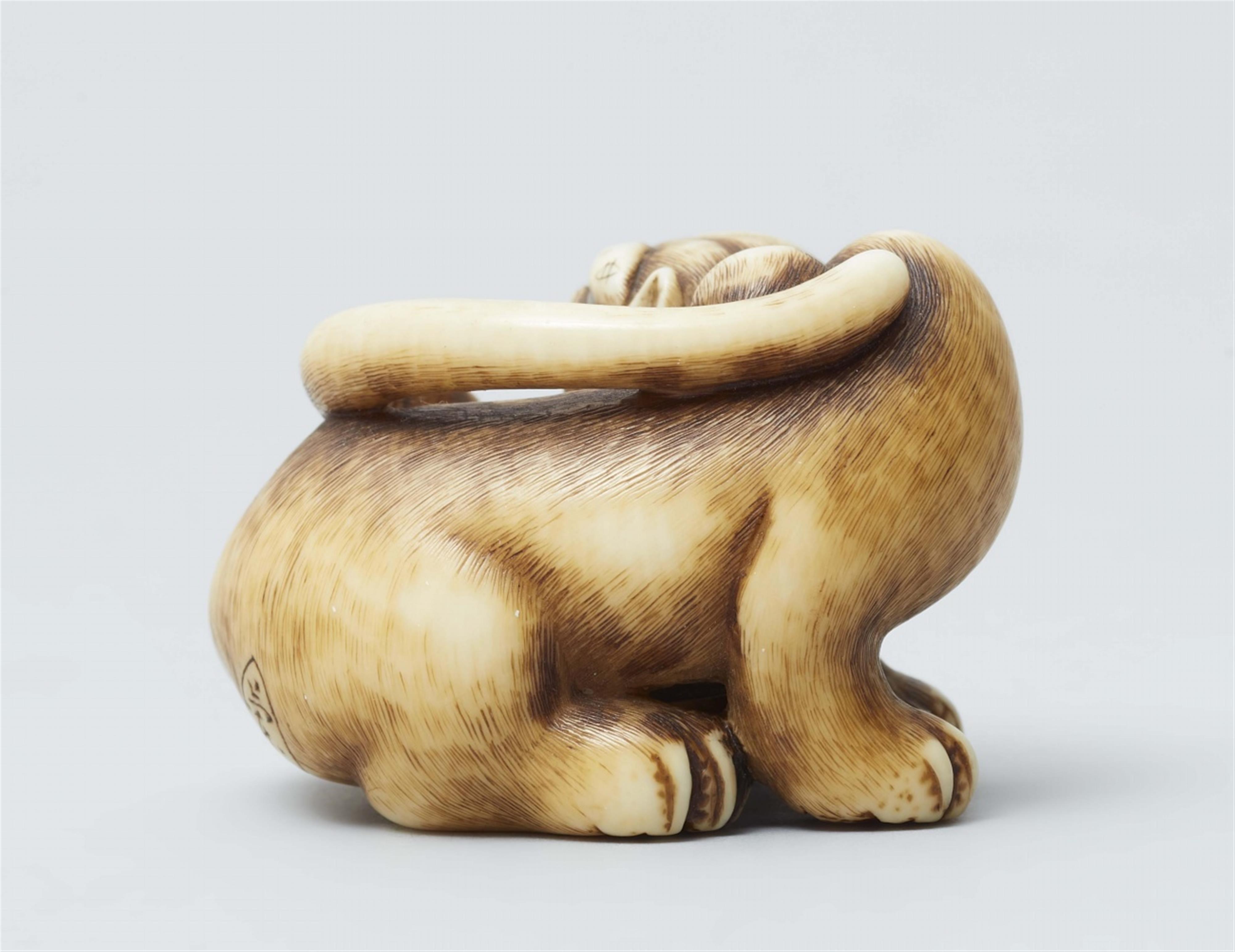 An ivory netsuke of a tiger. Mid-19th century - image-3