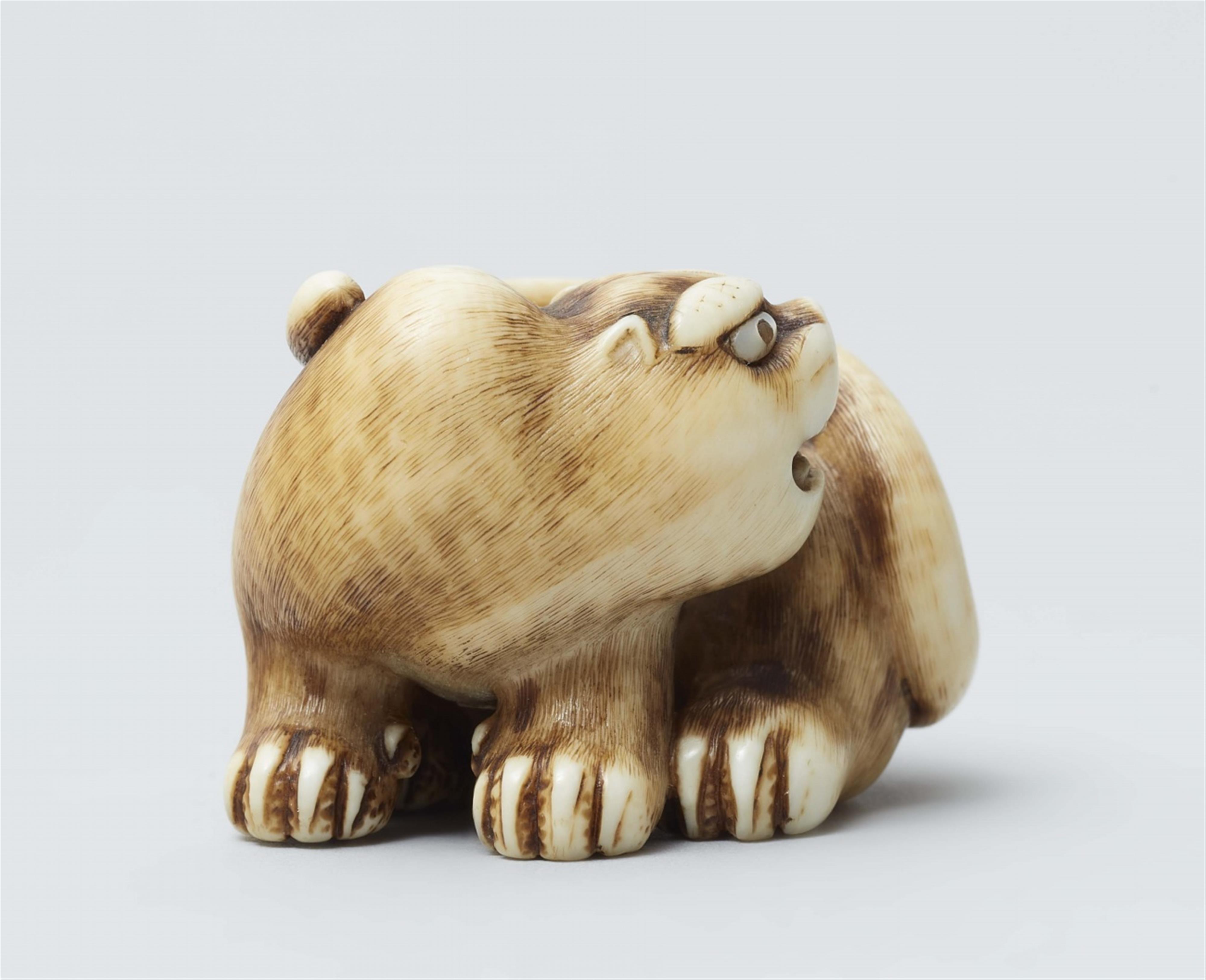 An ivory netsuke of a tiger. Mid-19th century - image-4