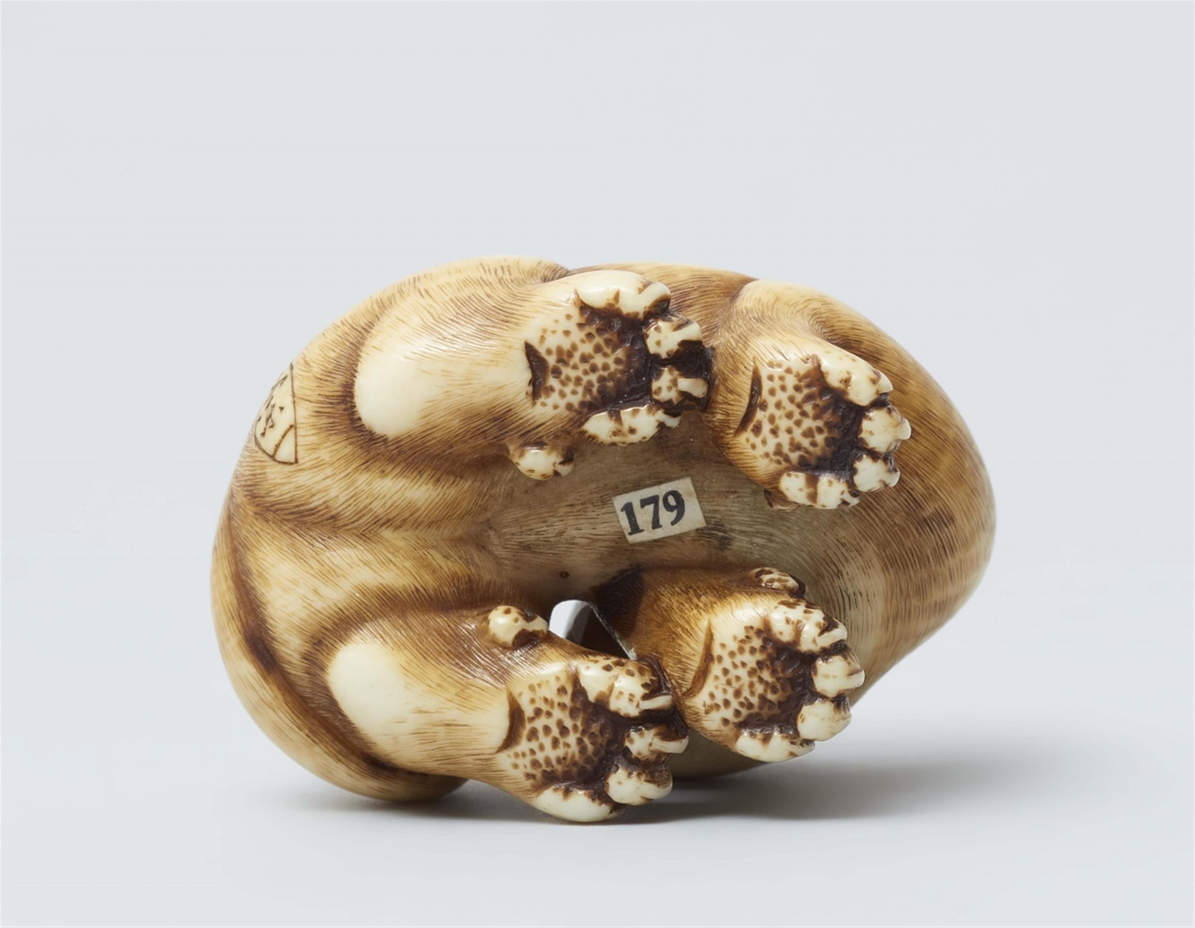 An ivory netsuke of a tiger. Mid-19th century - image-5