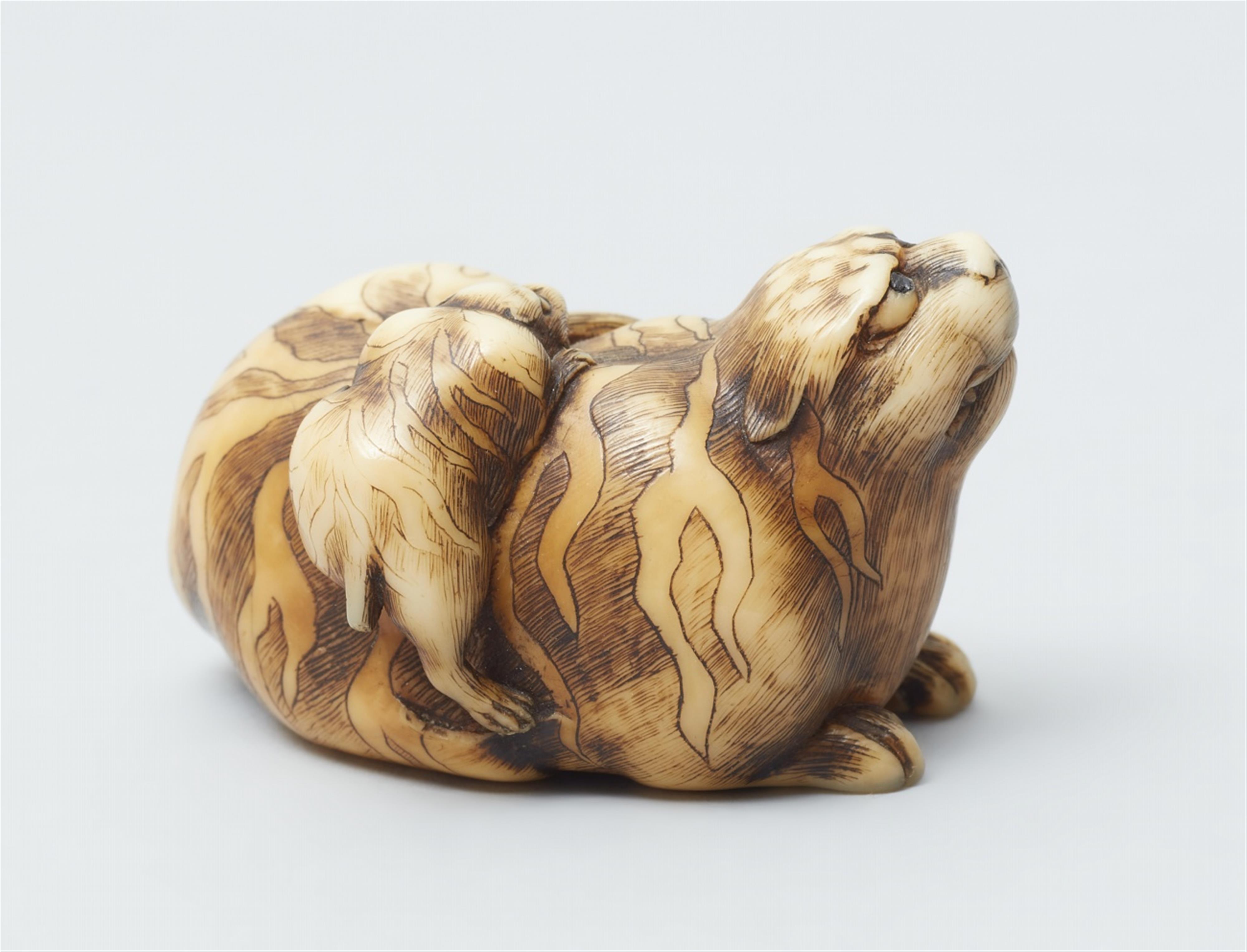 An ivory netsuke of a tiger with young. 19th century - image-5